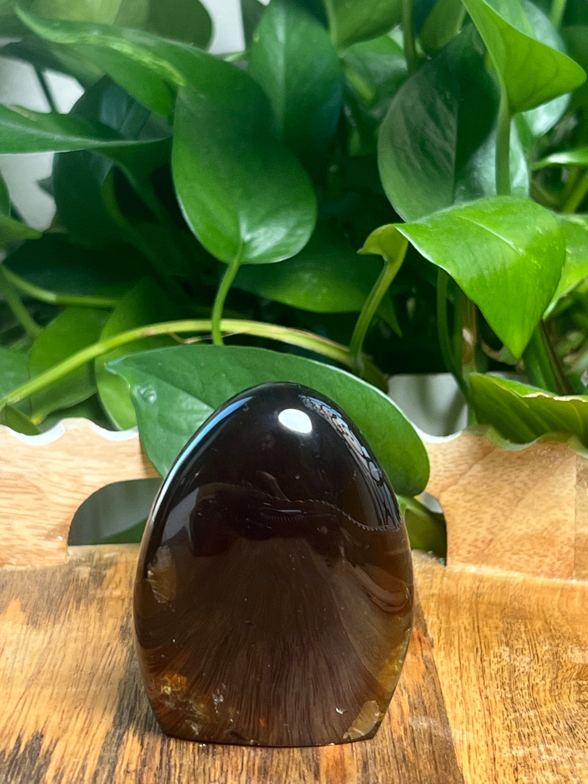 Blue Amber Freeform: Y
