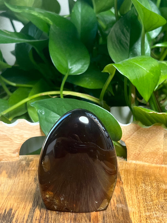 Blue Amber Freeform: Y