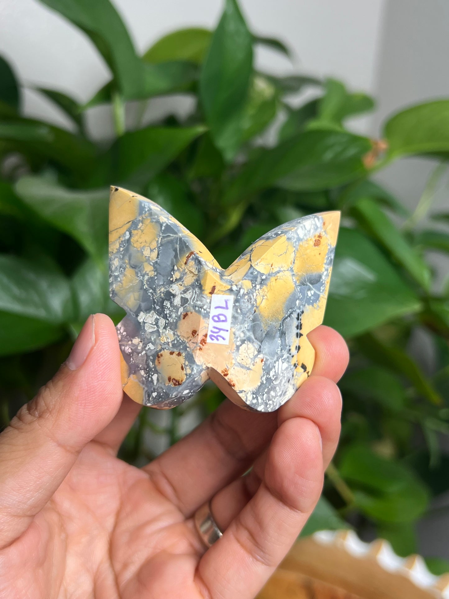 Maligano 3D Butterfly: BL