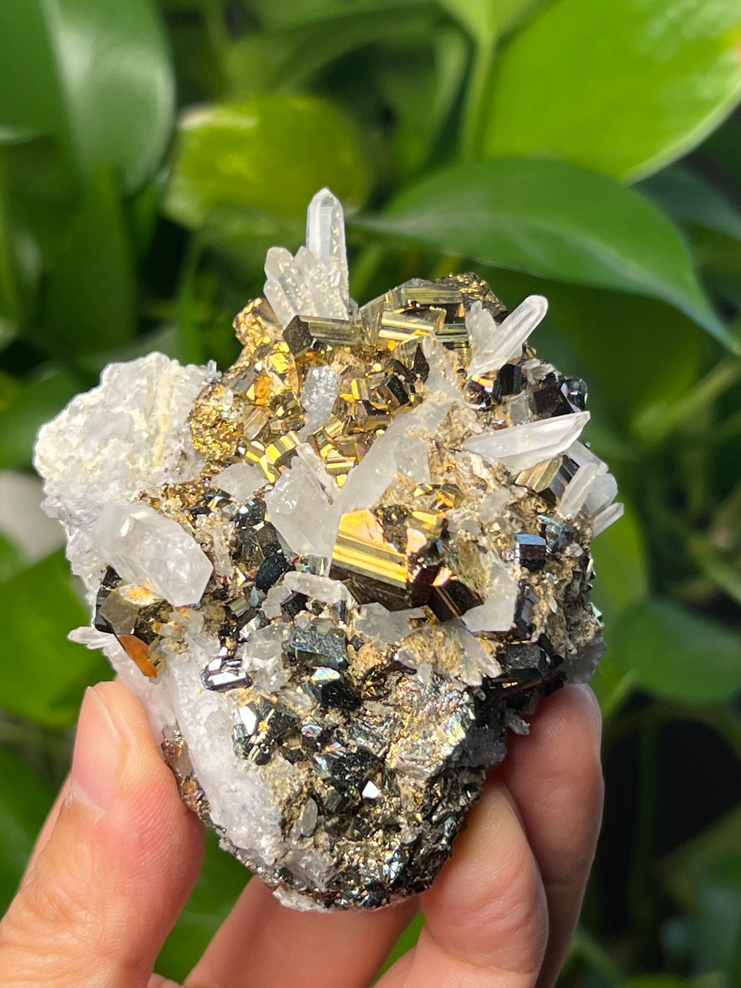 Rainbow Pyrite Quartz