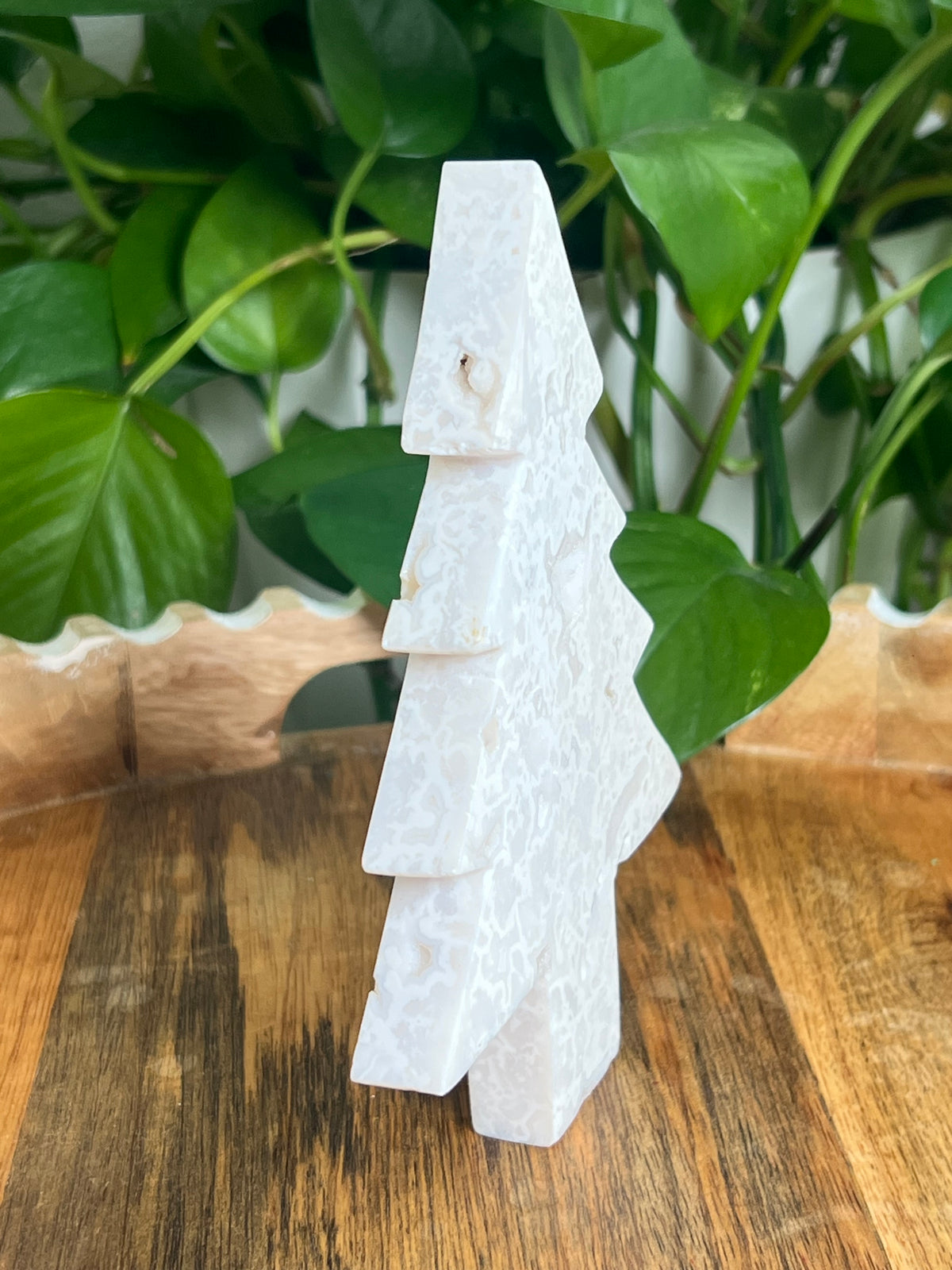 White Plume Agate Tree: PS