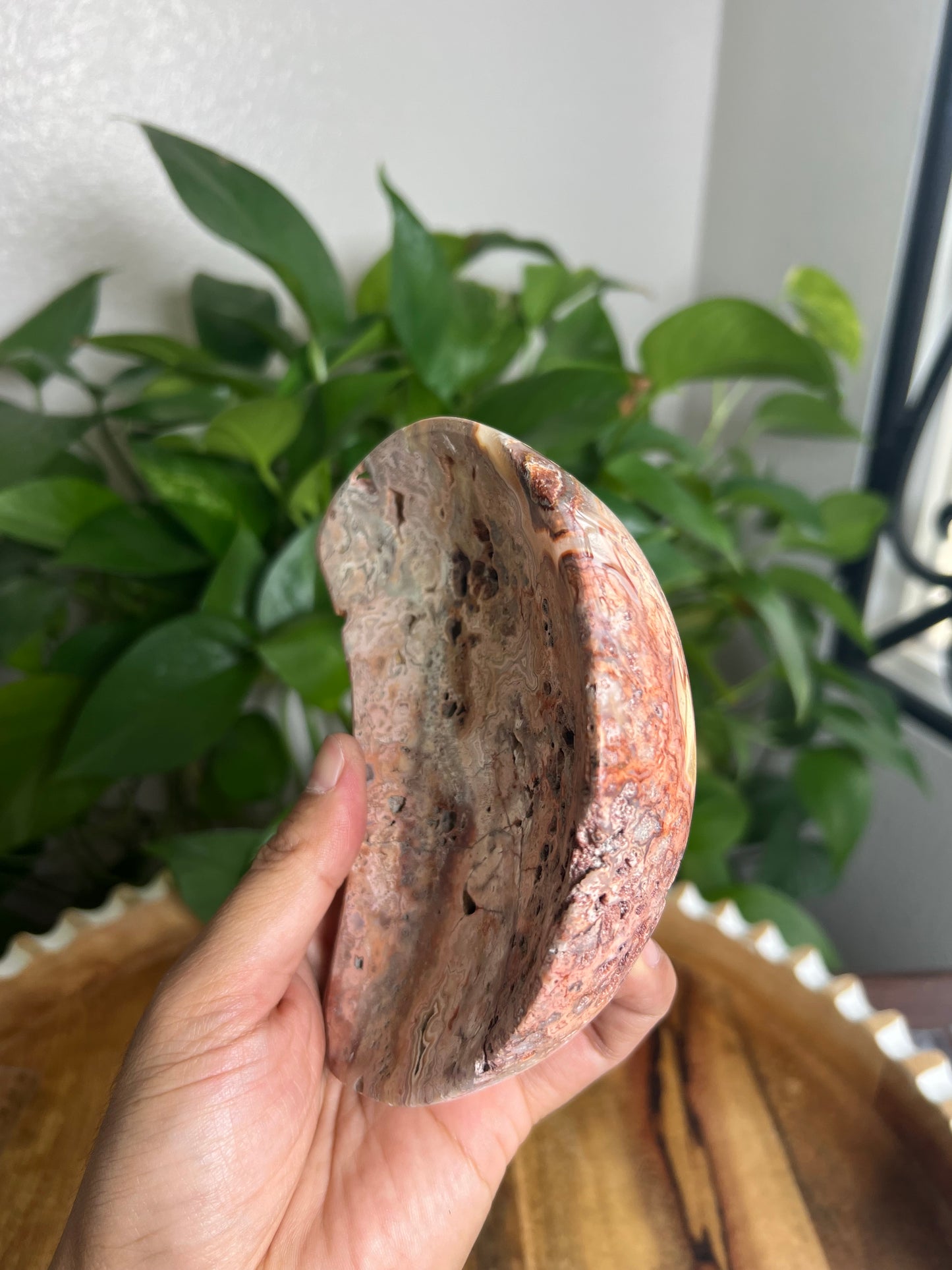 Crazy Lace Agate Moon Bowl: E