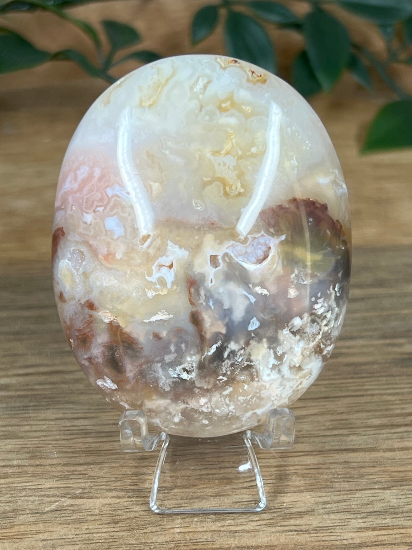 Rainbow Plume Agate Palmstone