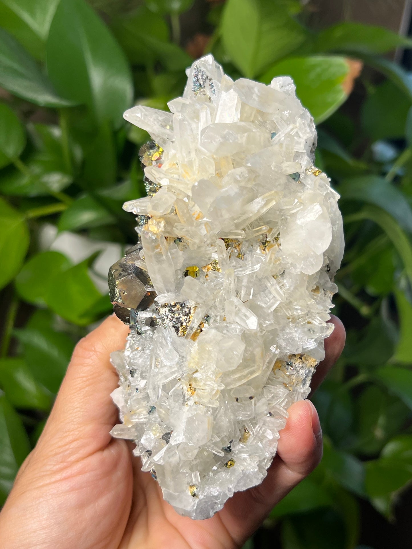 Rainbow Pyrite Quartz