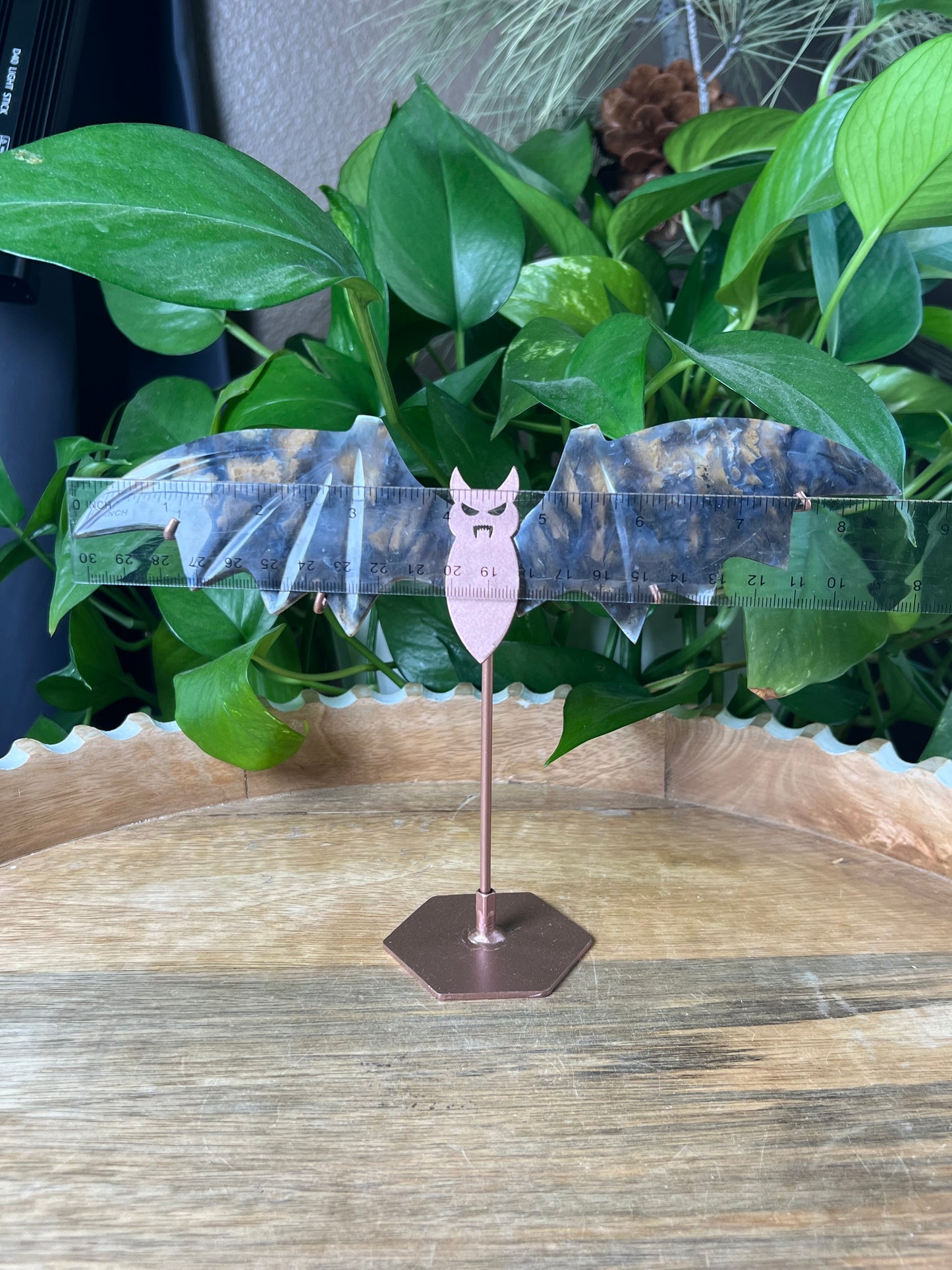 Dendritic Tiger Agate Bat Wings