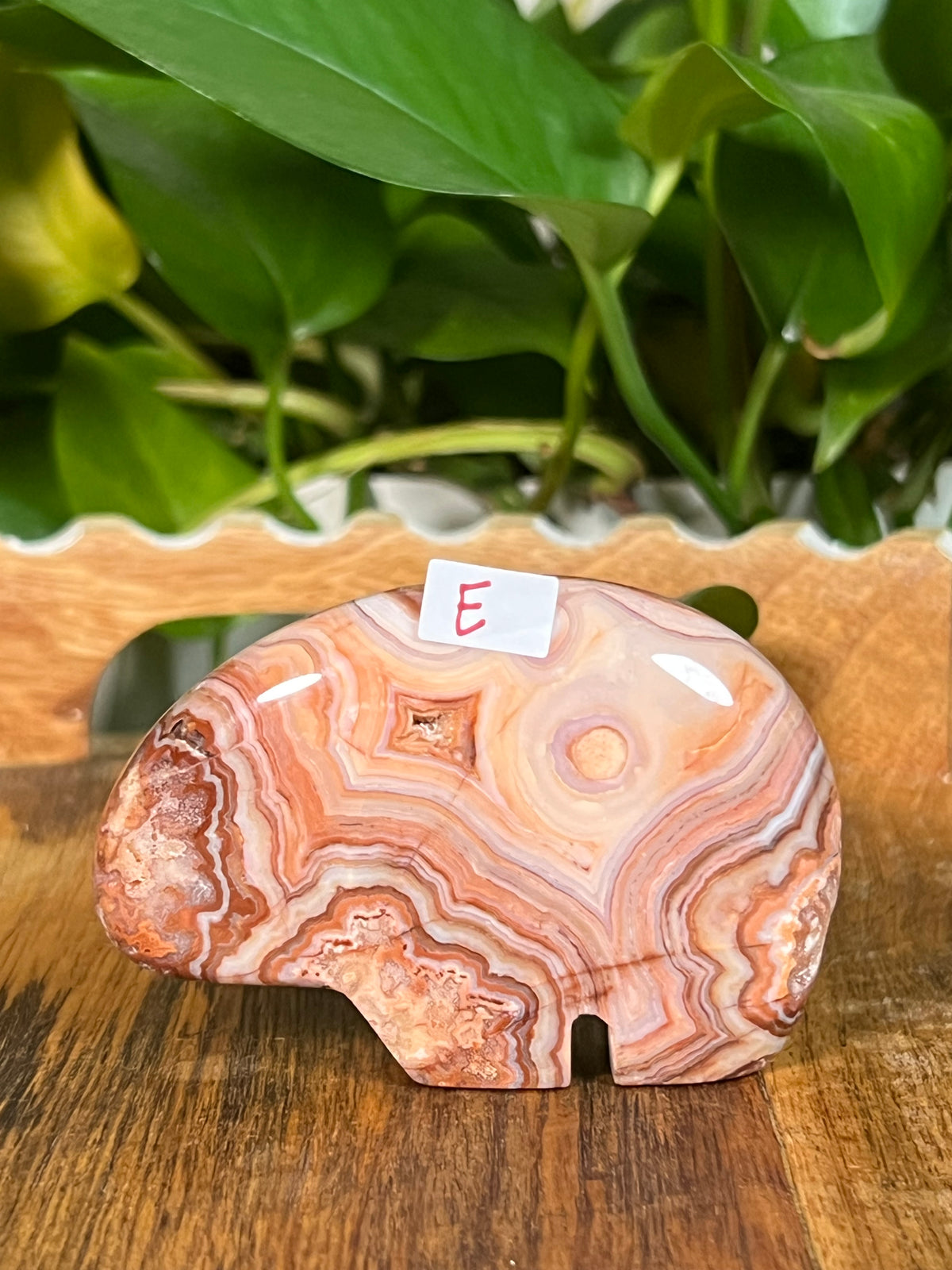 Crazy Lace Agate Bears