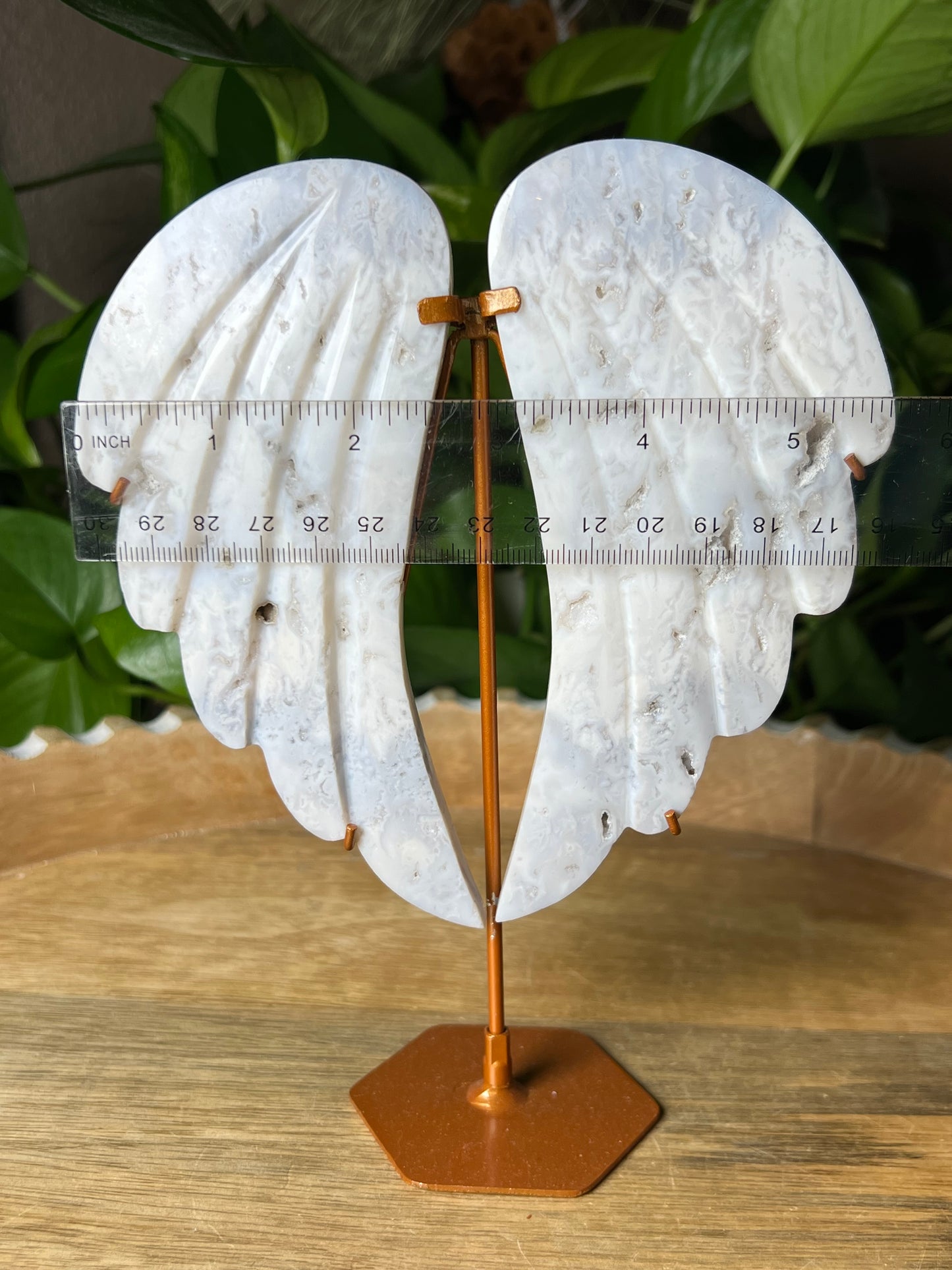 White Plume Agate Wings