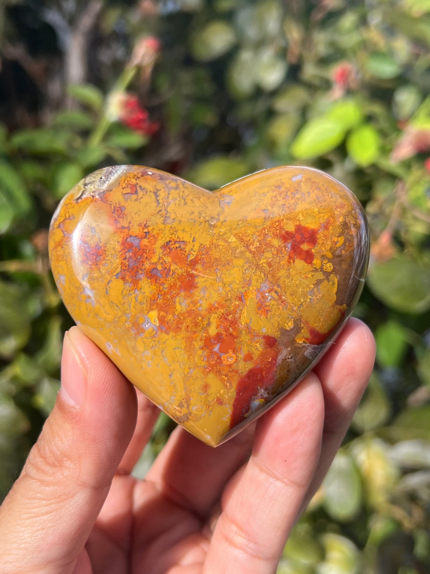 Scenic Moss Agate Heart N