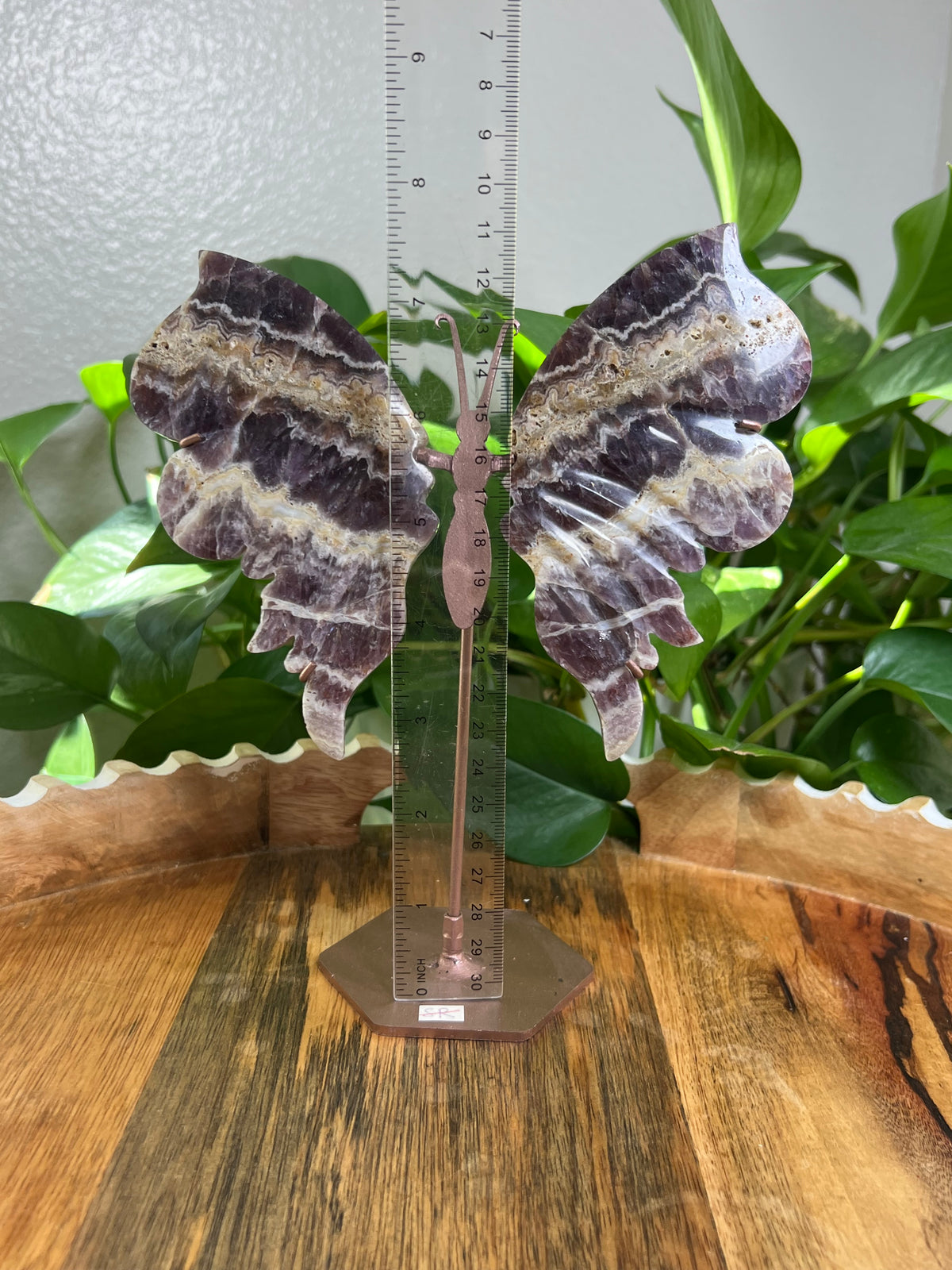 Indonesian Amethyst Wings : SR