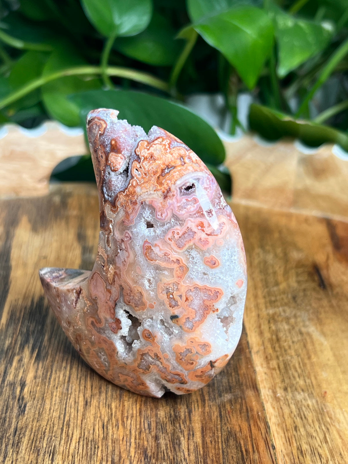 Crazy Lace Agate Self Standing Moon: MB