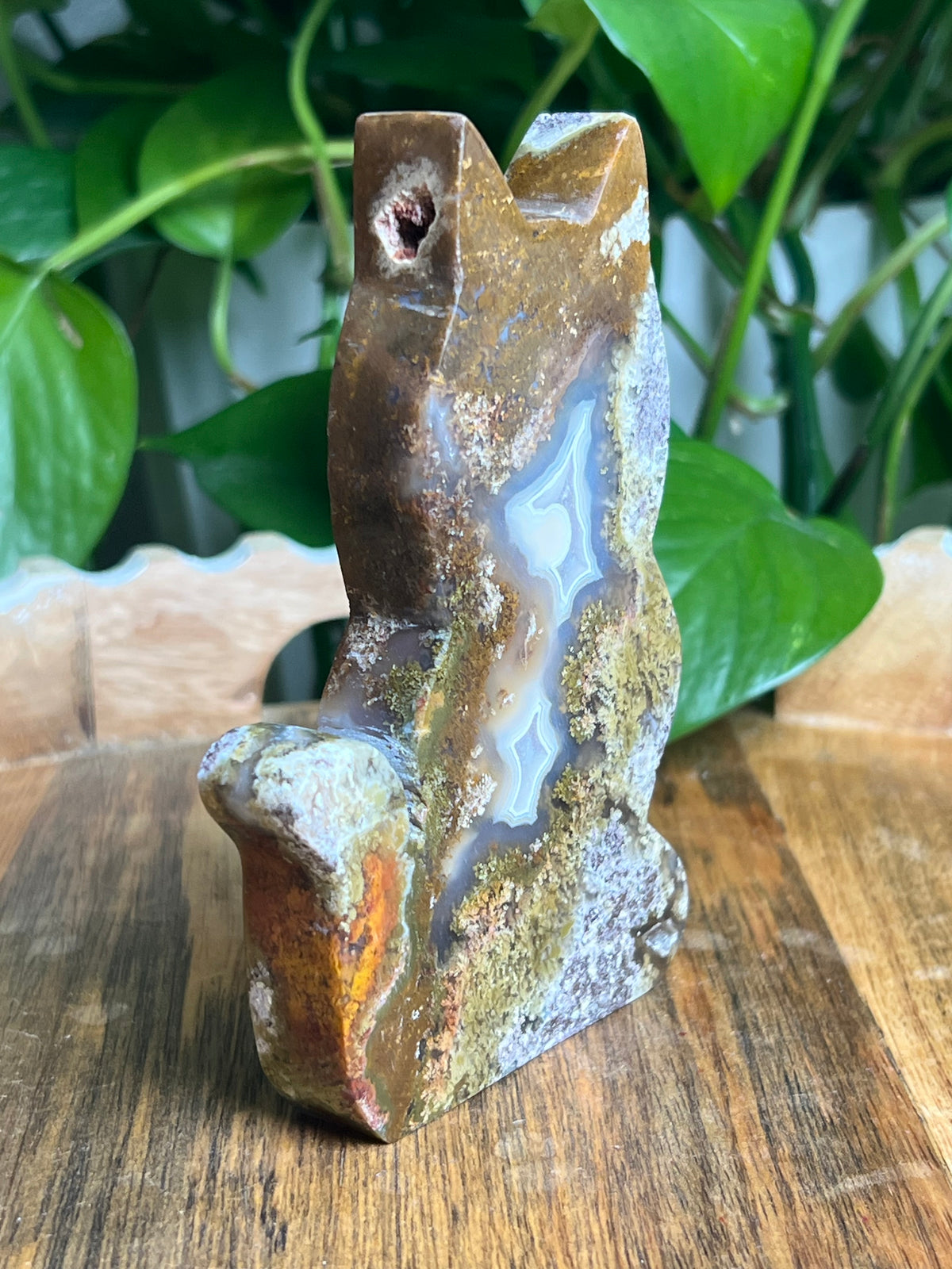 Scenic Moss Agate Cat: AB