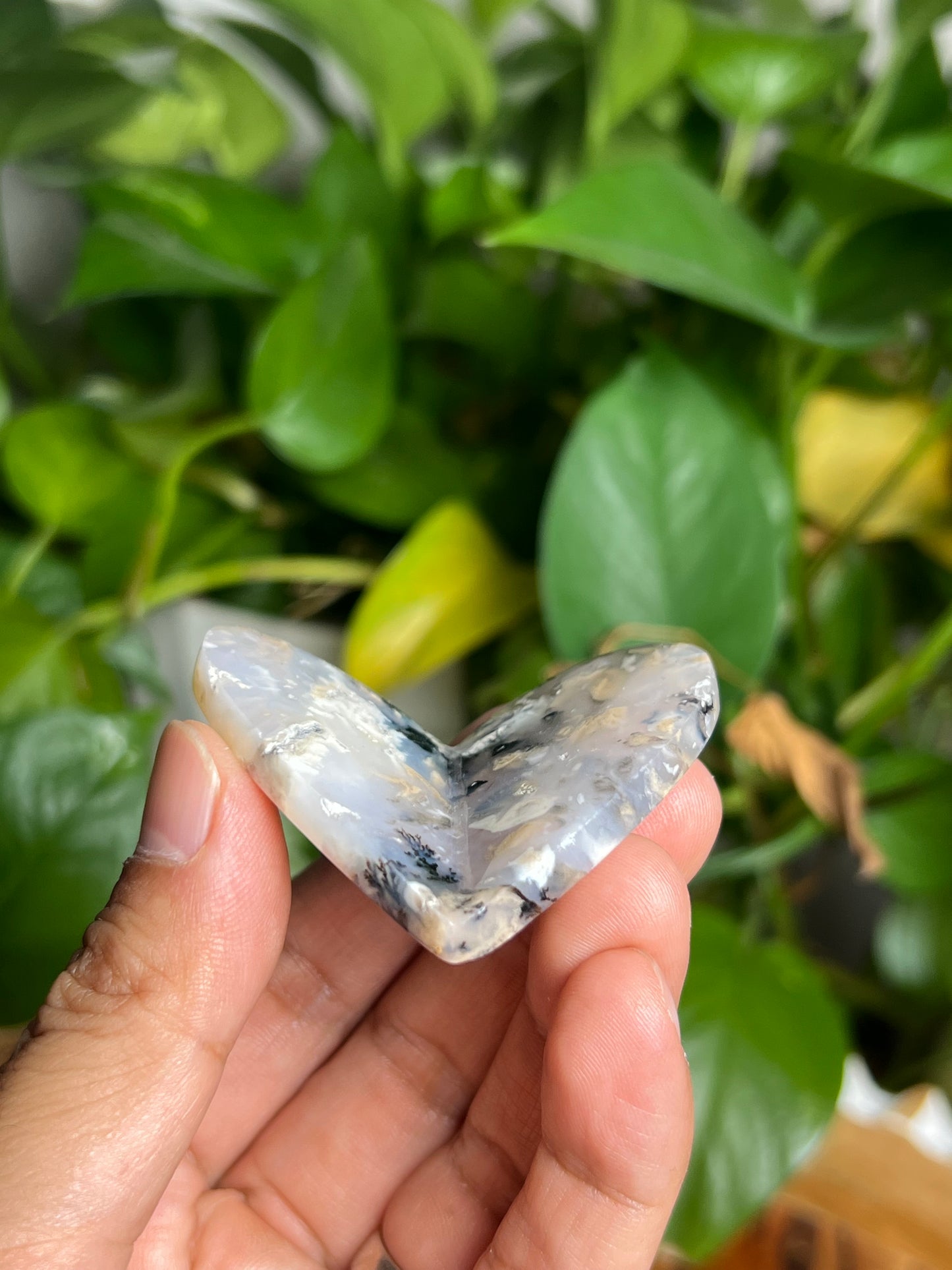 Dendritic Tiger Agate 3D Butterfly Hi