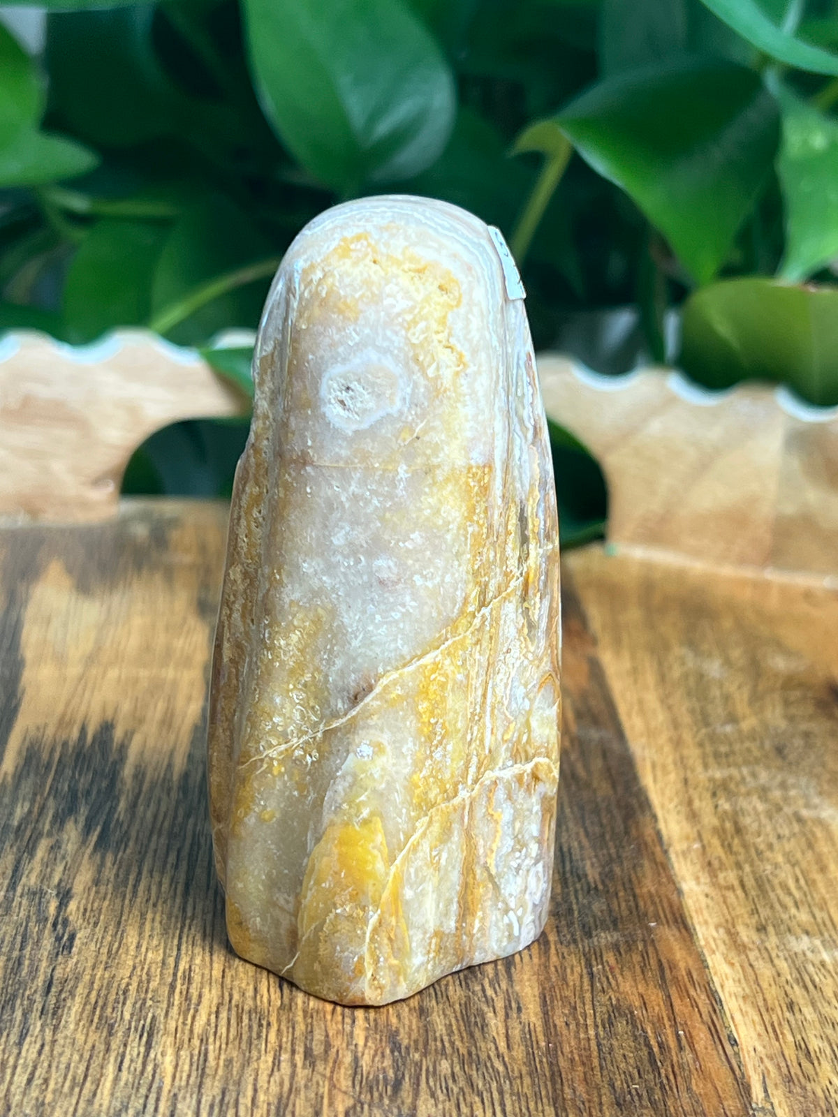 Crazy Lace Agate Ghost: P