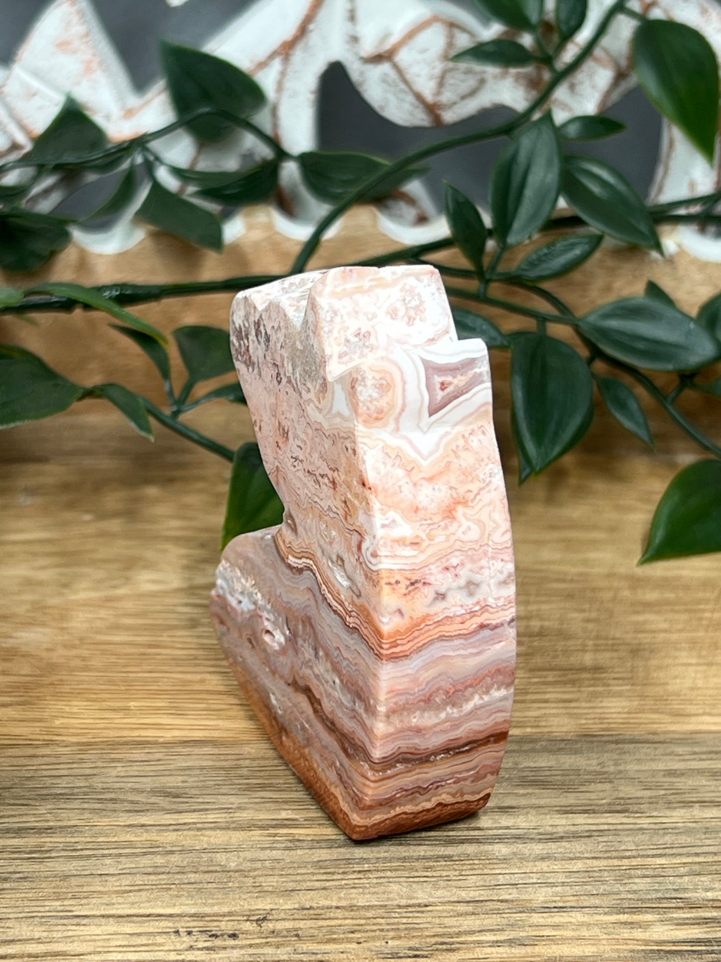 Pink Crazy Lace Agate Unicorn