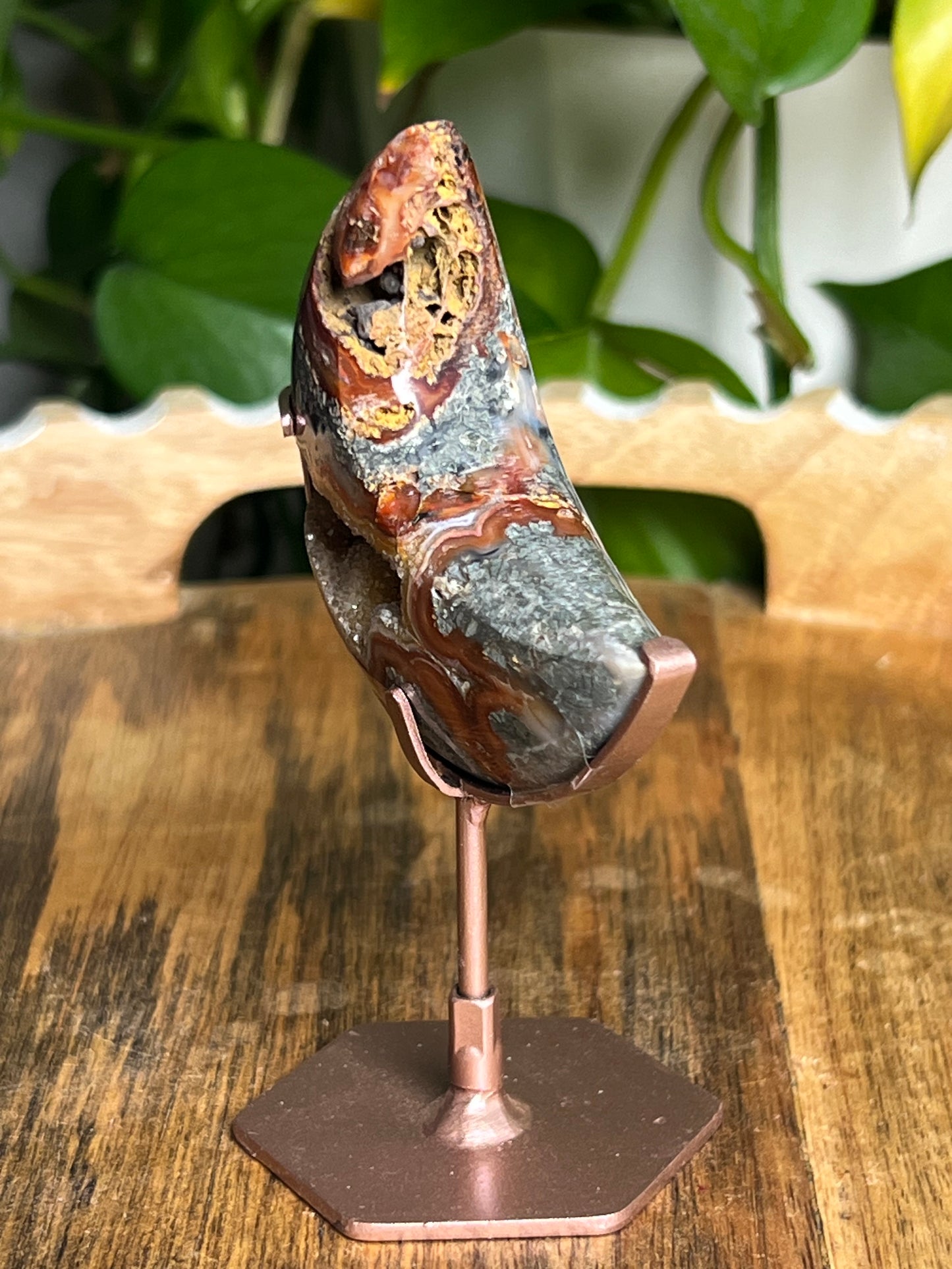 Marcasite Moon DZ