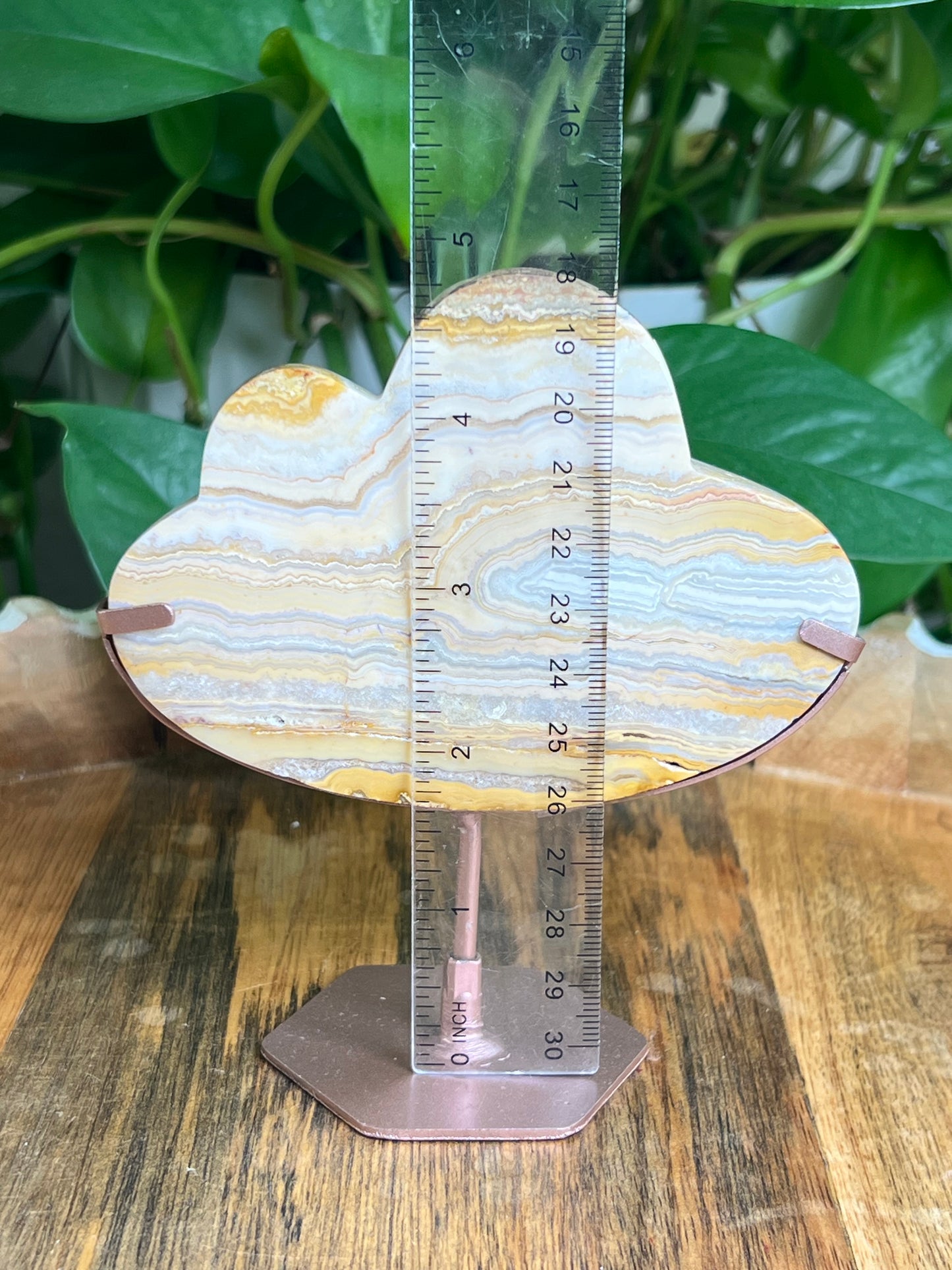 Yellow Crazy Lace Agate Cloud: NB