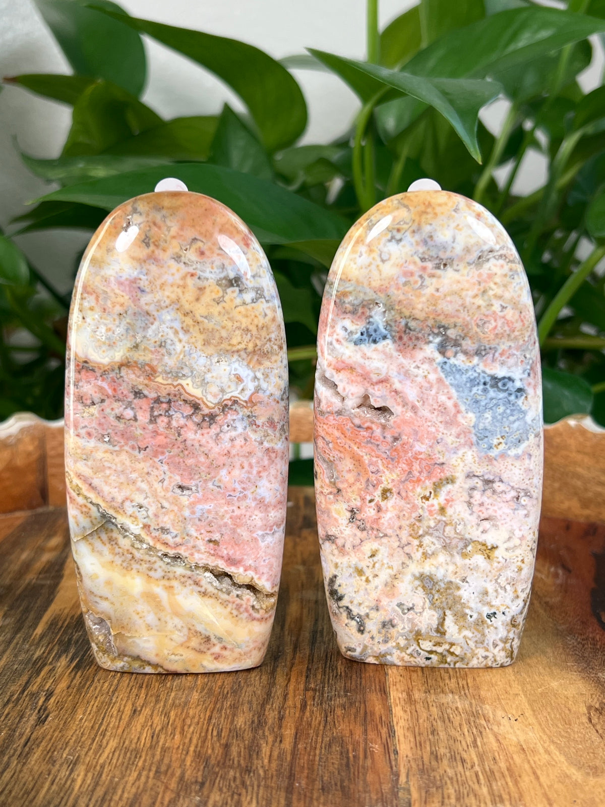 Sea Jasper Freeforms