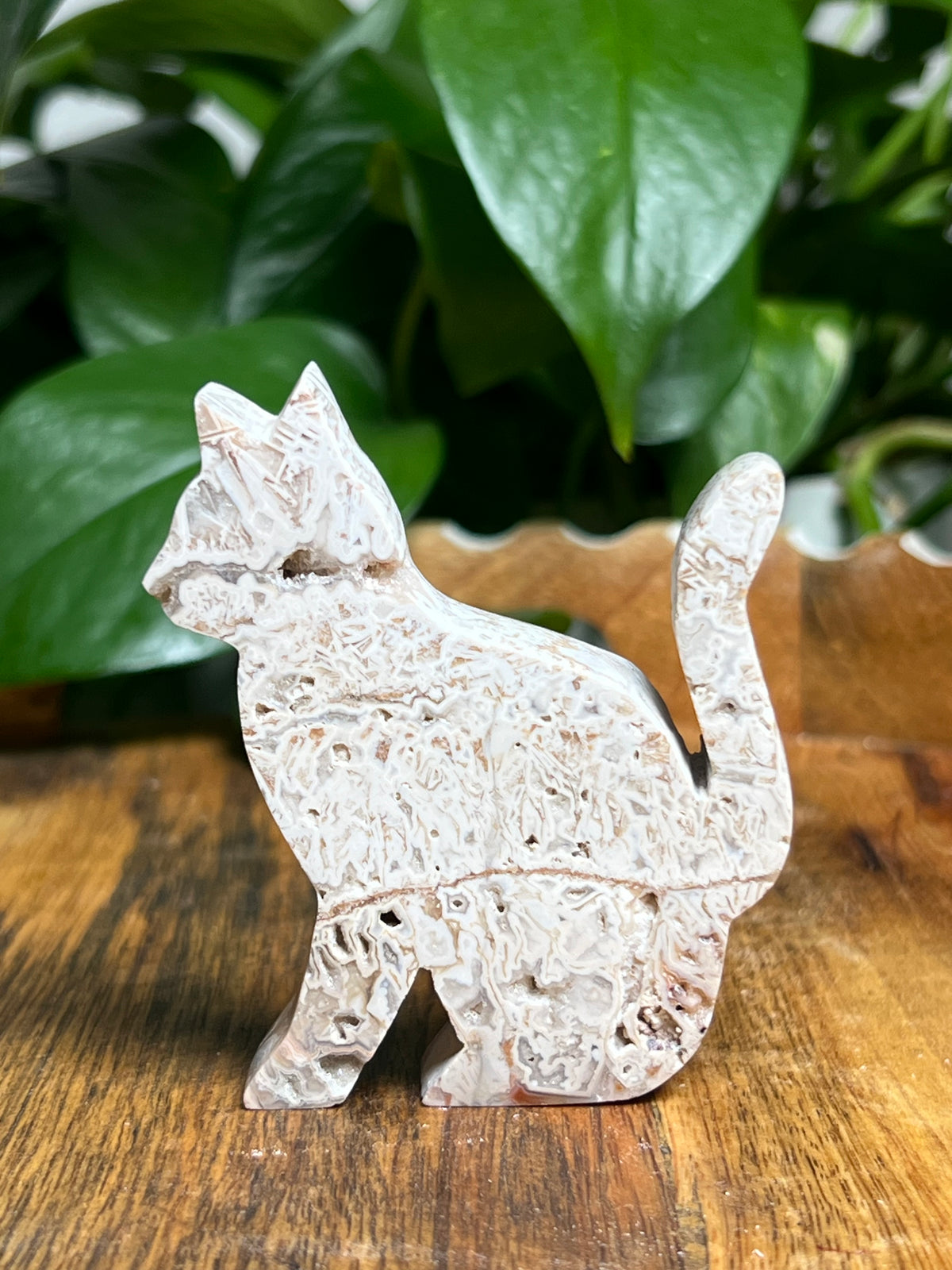 Tube Agate Cats