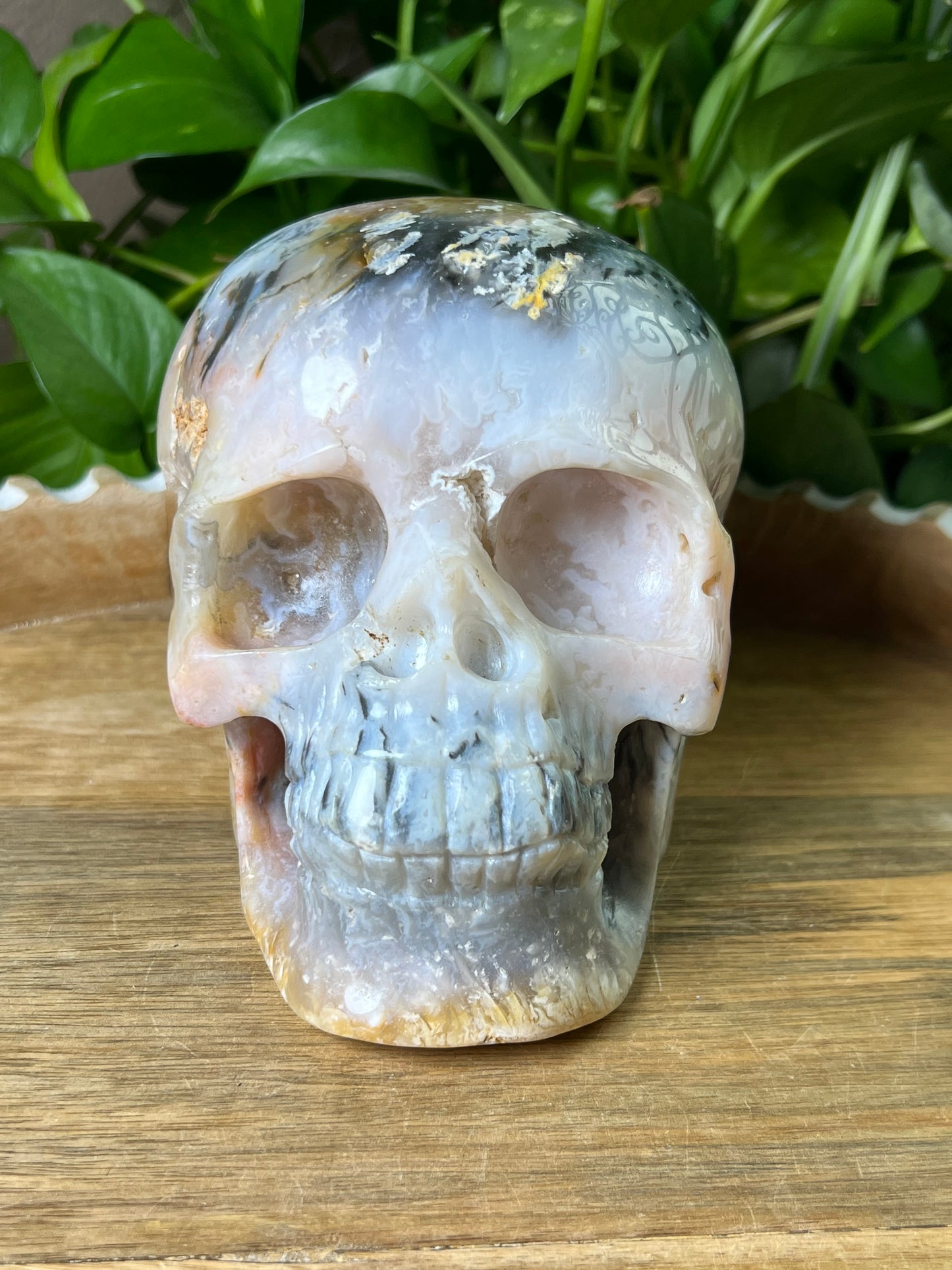 Rainbow Plume Agate Skull