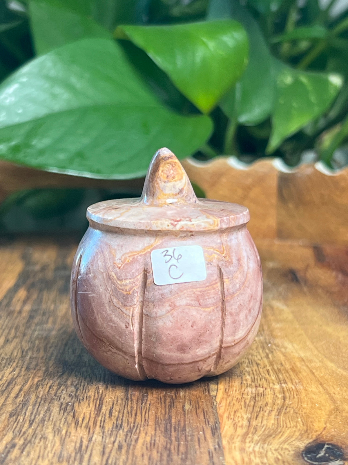 Pink Polycrome Pumpkin: C