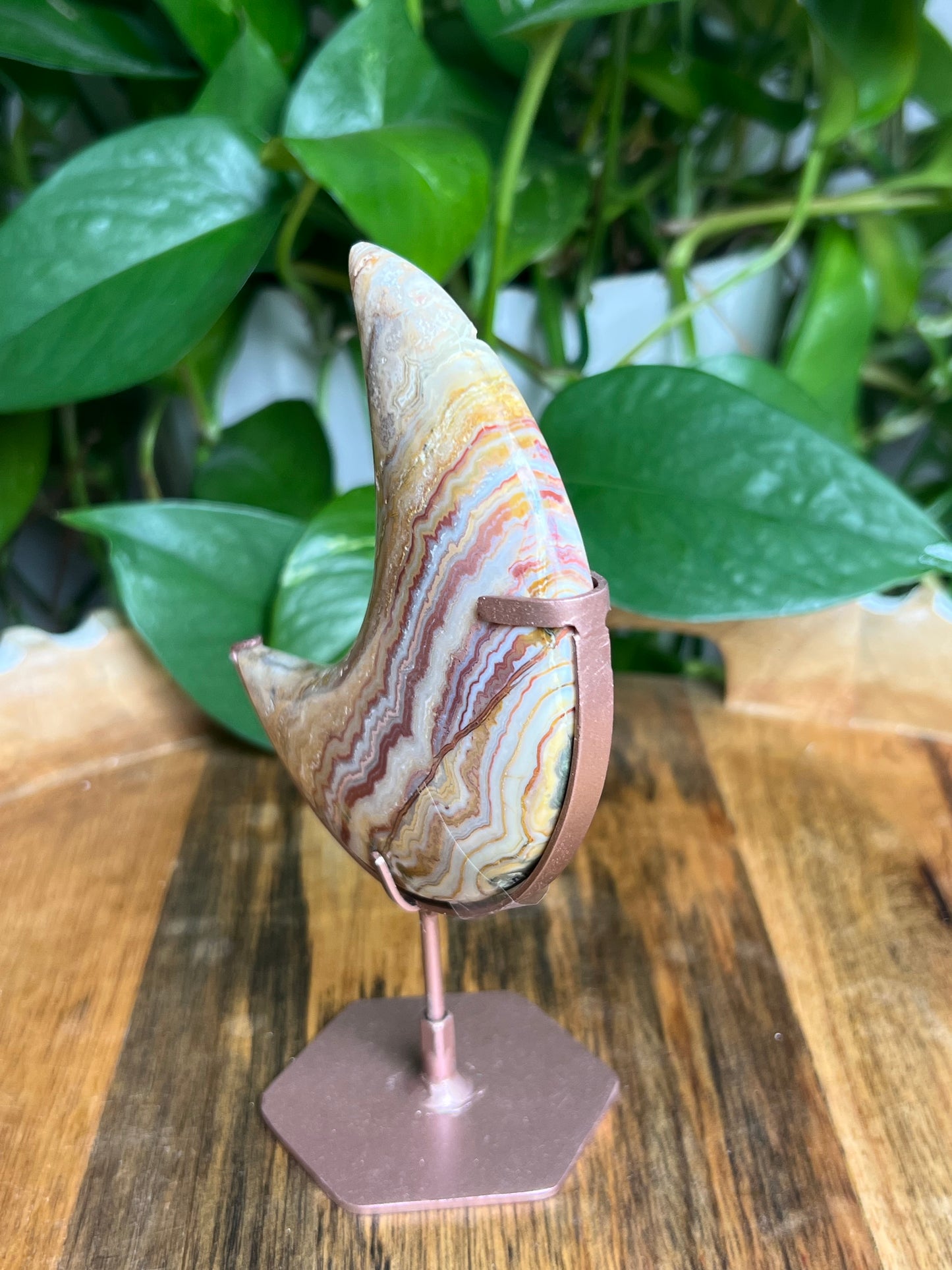 Crazy Lace Agate Moon: MA