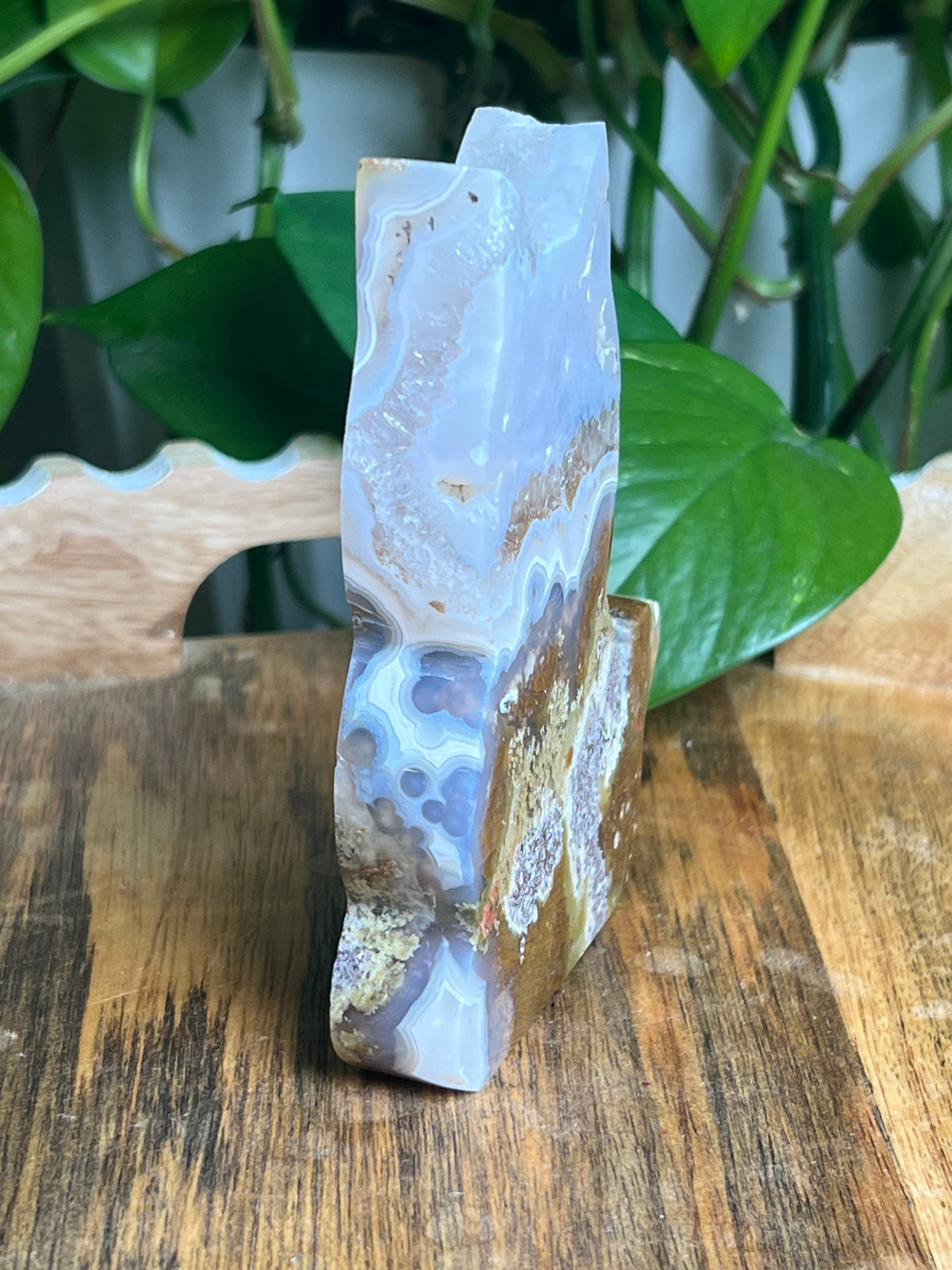 Scenic Moss Agate Cat: AD