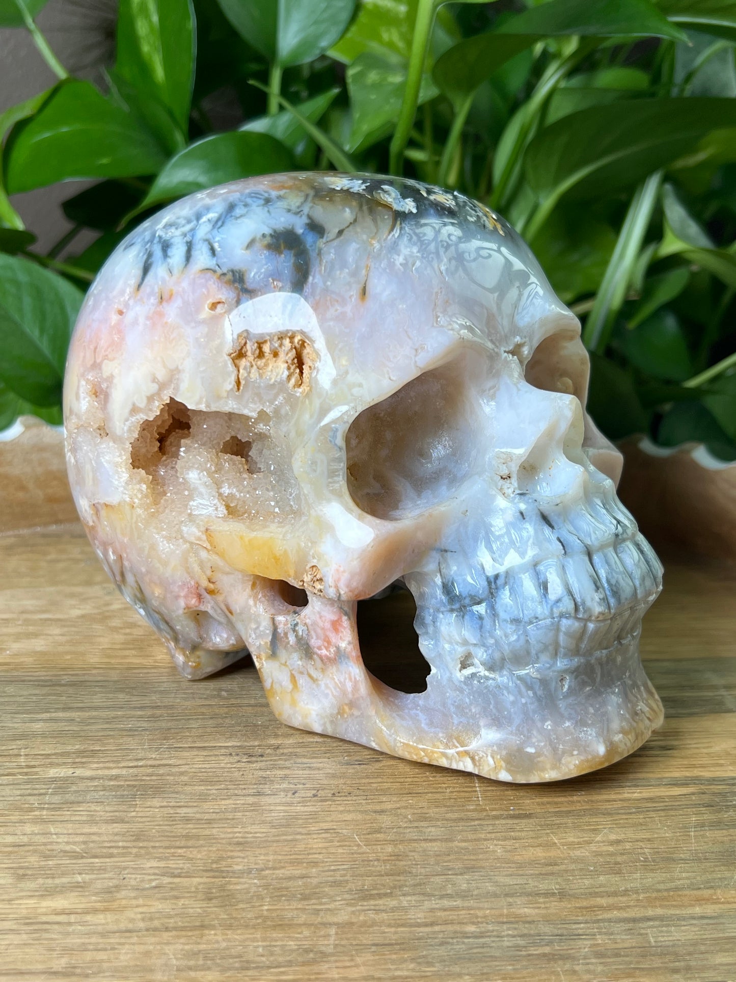 Rainbow Plume Agate Skull