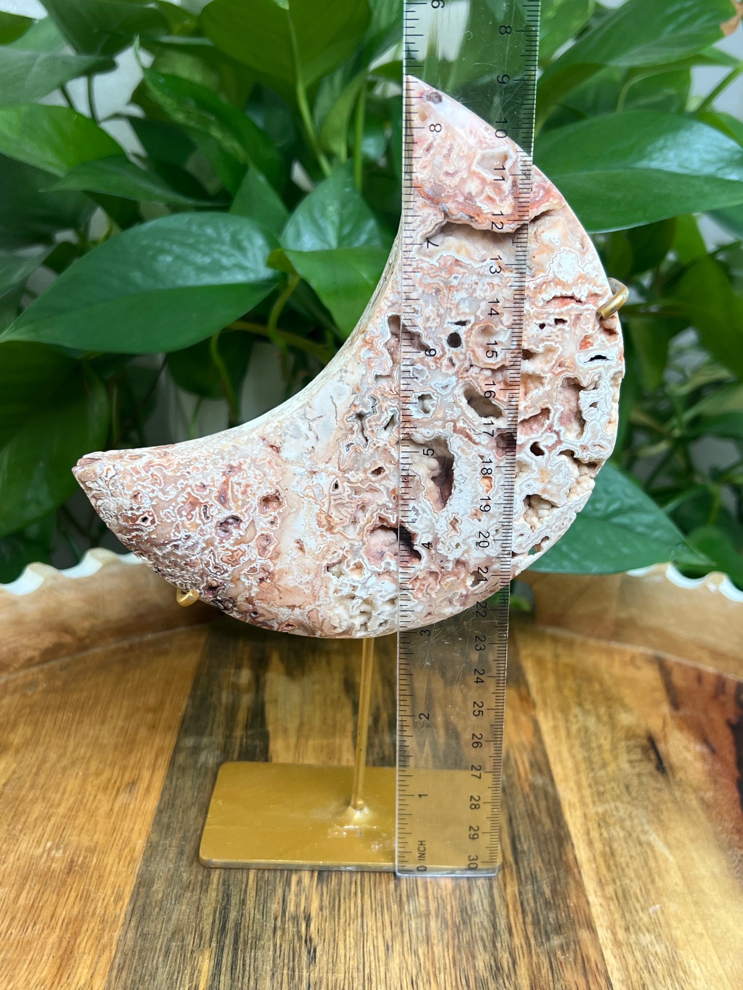 Crazy Lace Agate Moon: XT