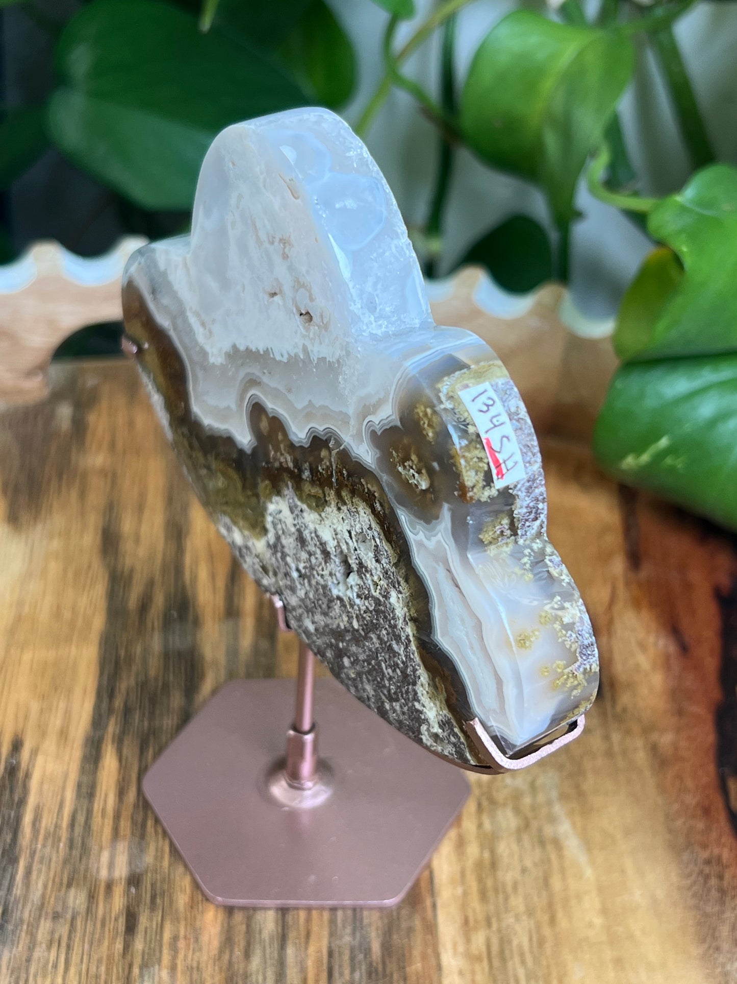 Scenic Moss Agate Cloud