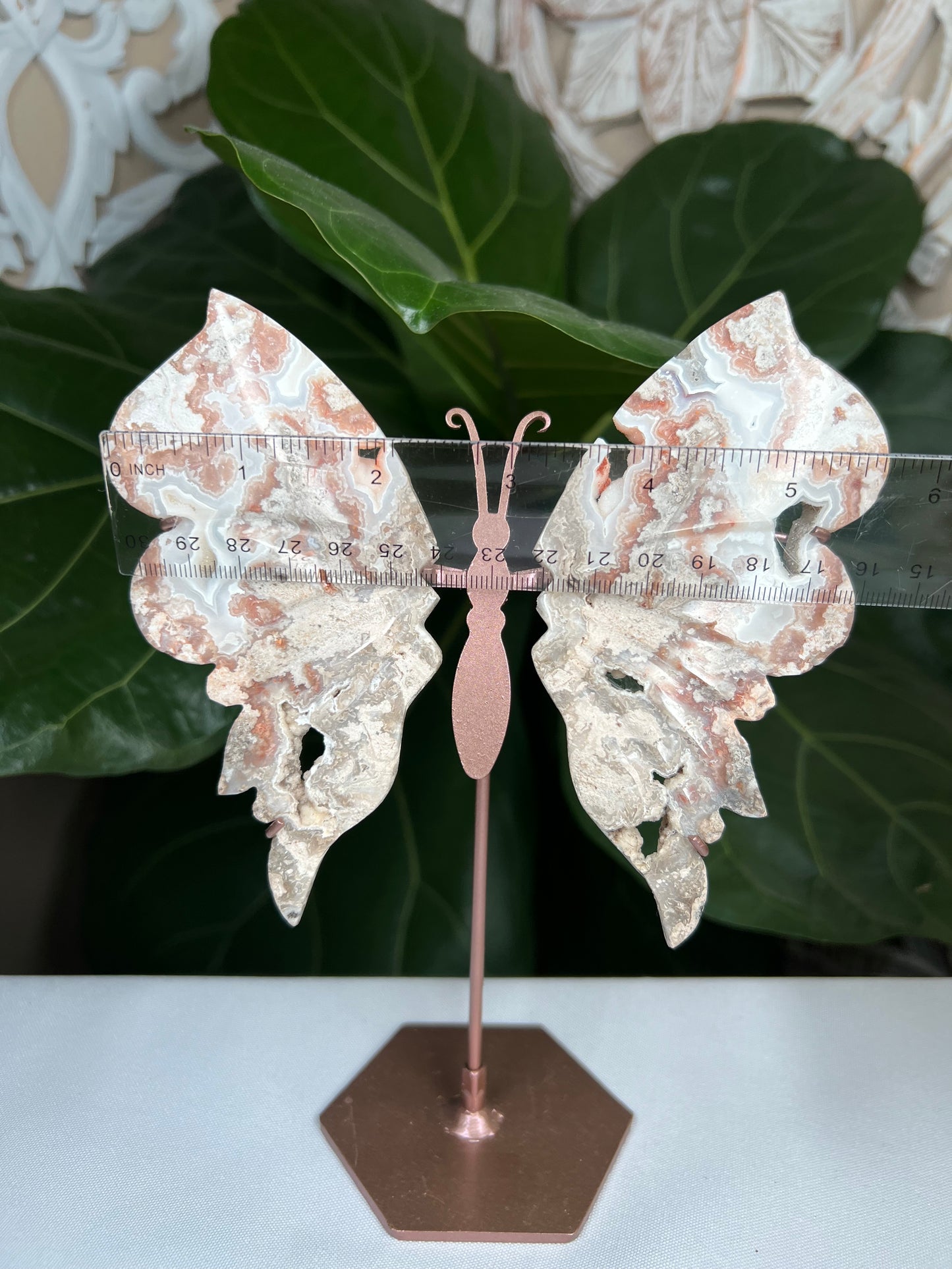 Crazy Lace Agate Wings