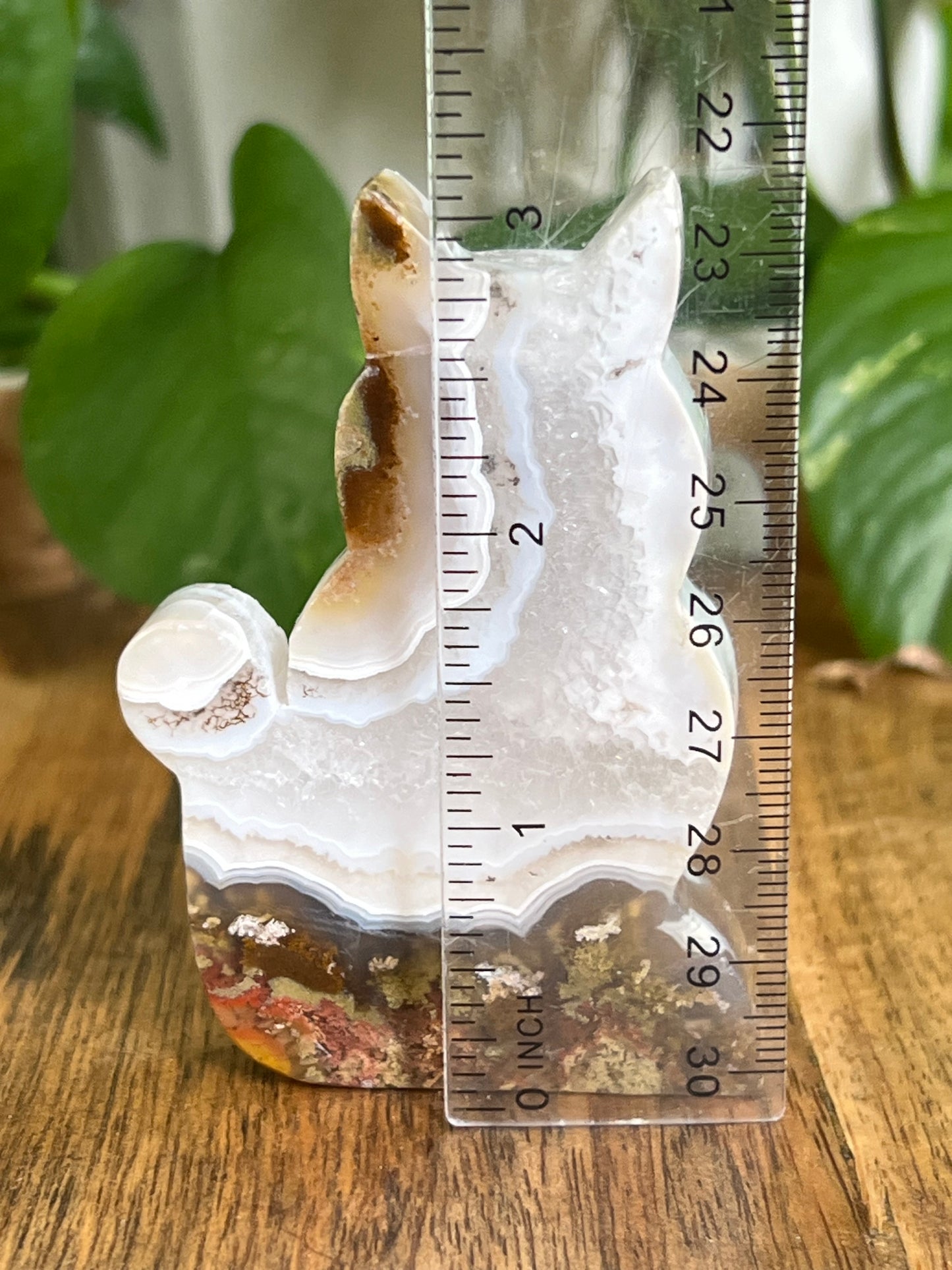 Scenic Moss Agate Cat HU
