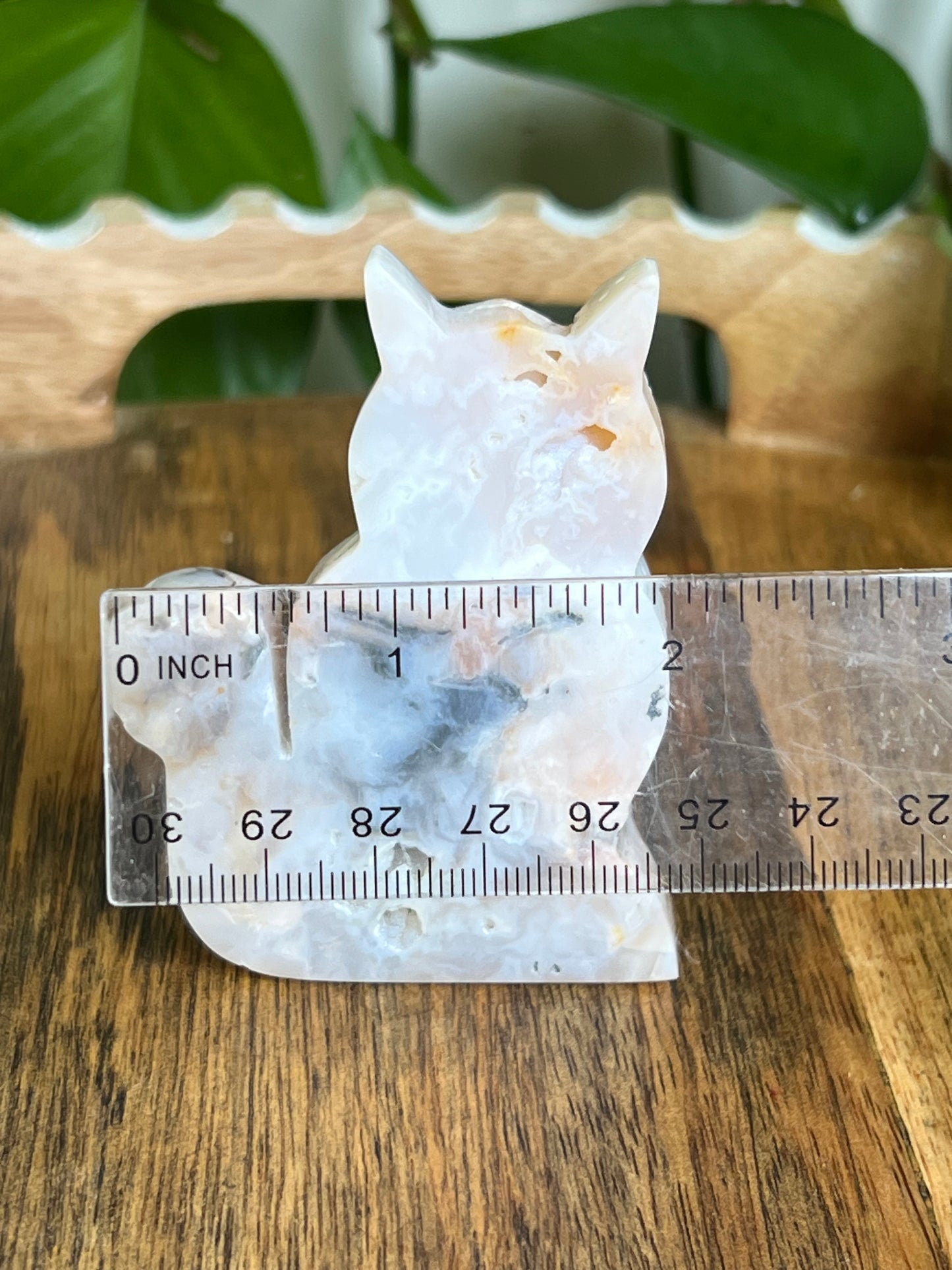 Rainbow Plume Agate Cat K