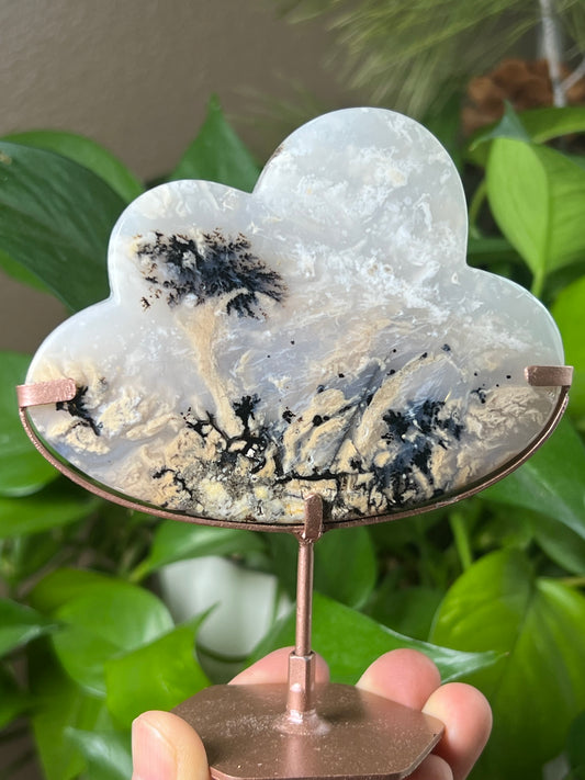 Dendritic Tiger Agate Cloud