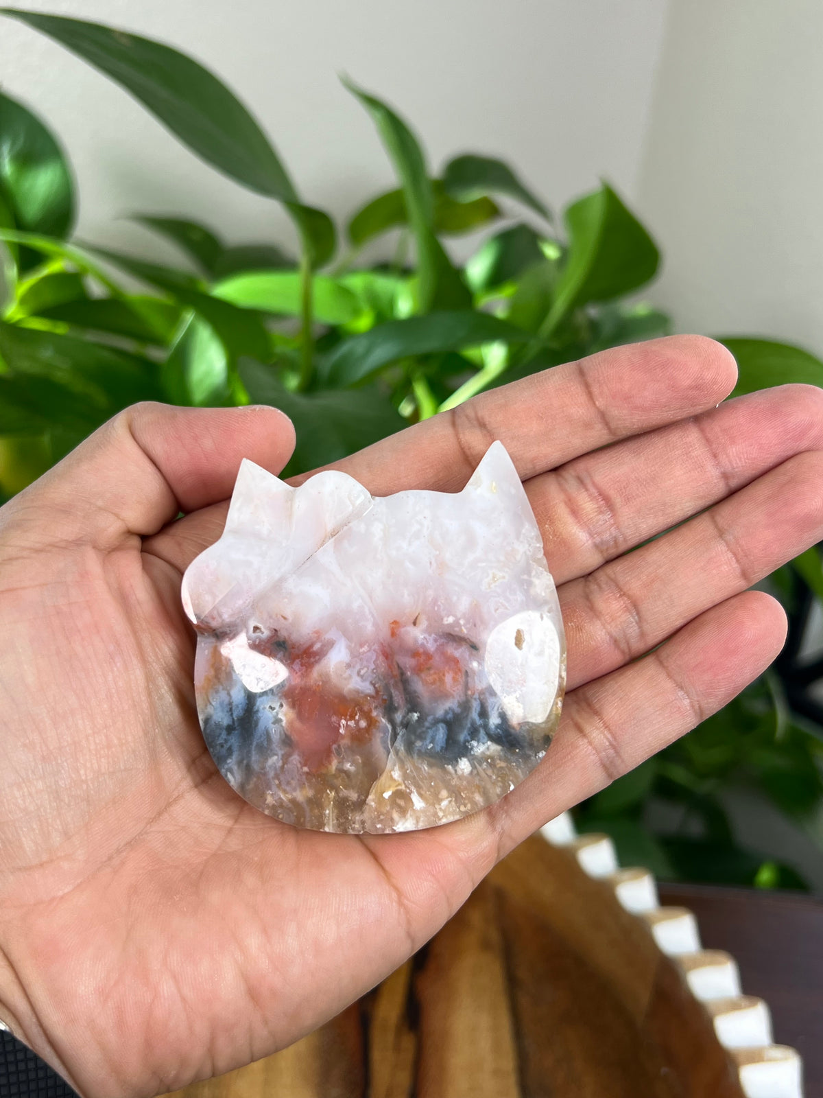 Rainbow Plume Agate Cat Heads