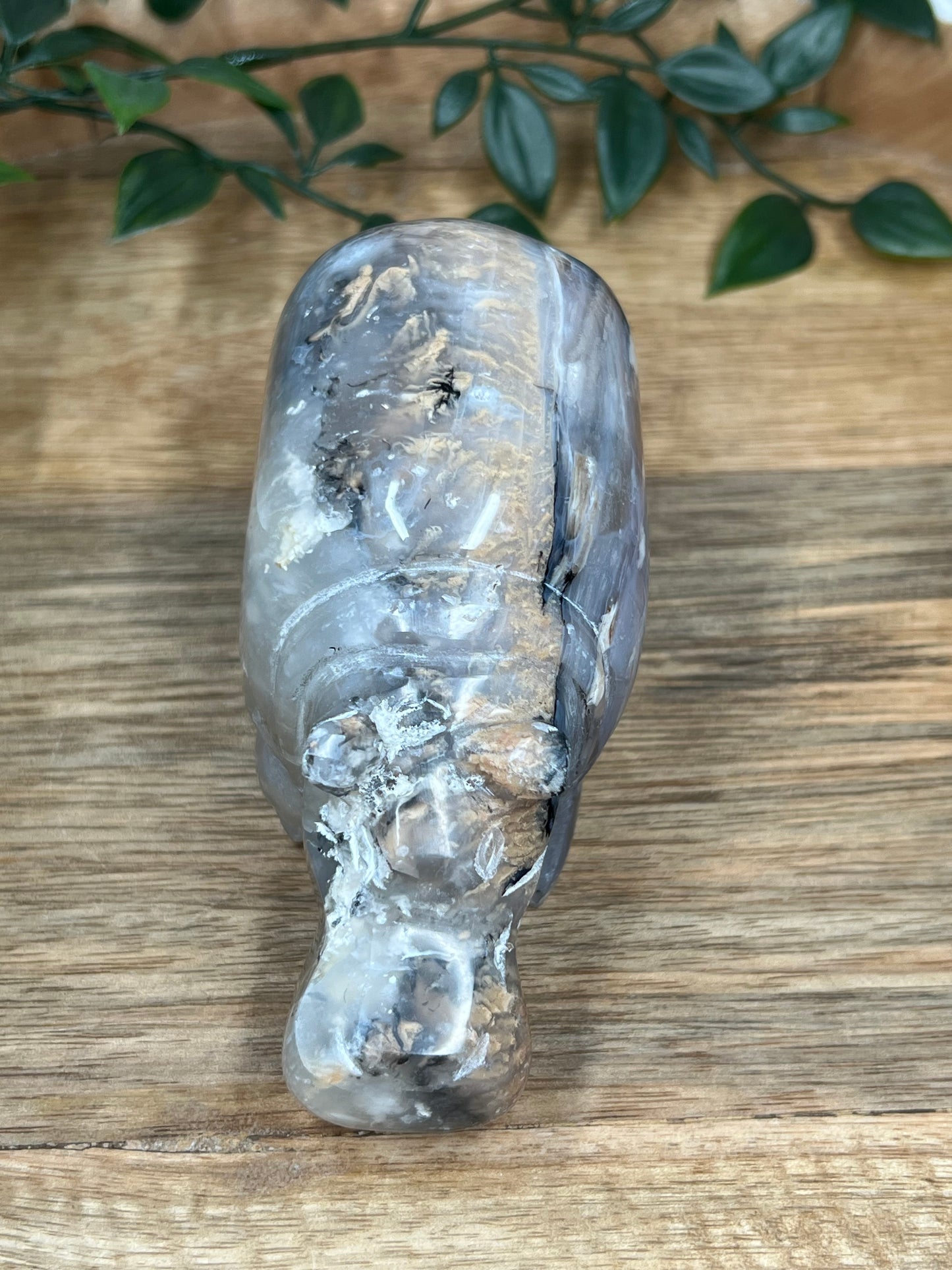 Dendritic Tiger Agate Hippo