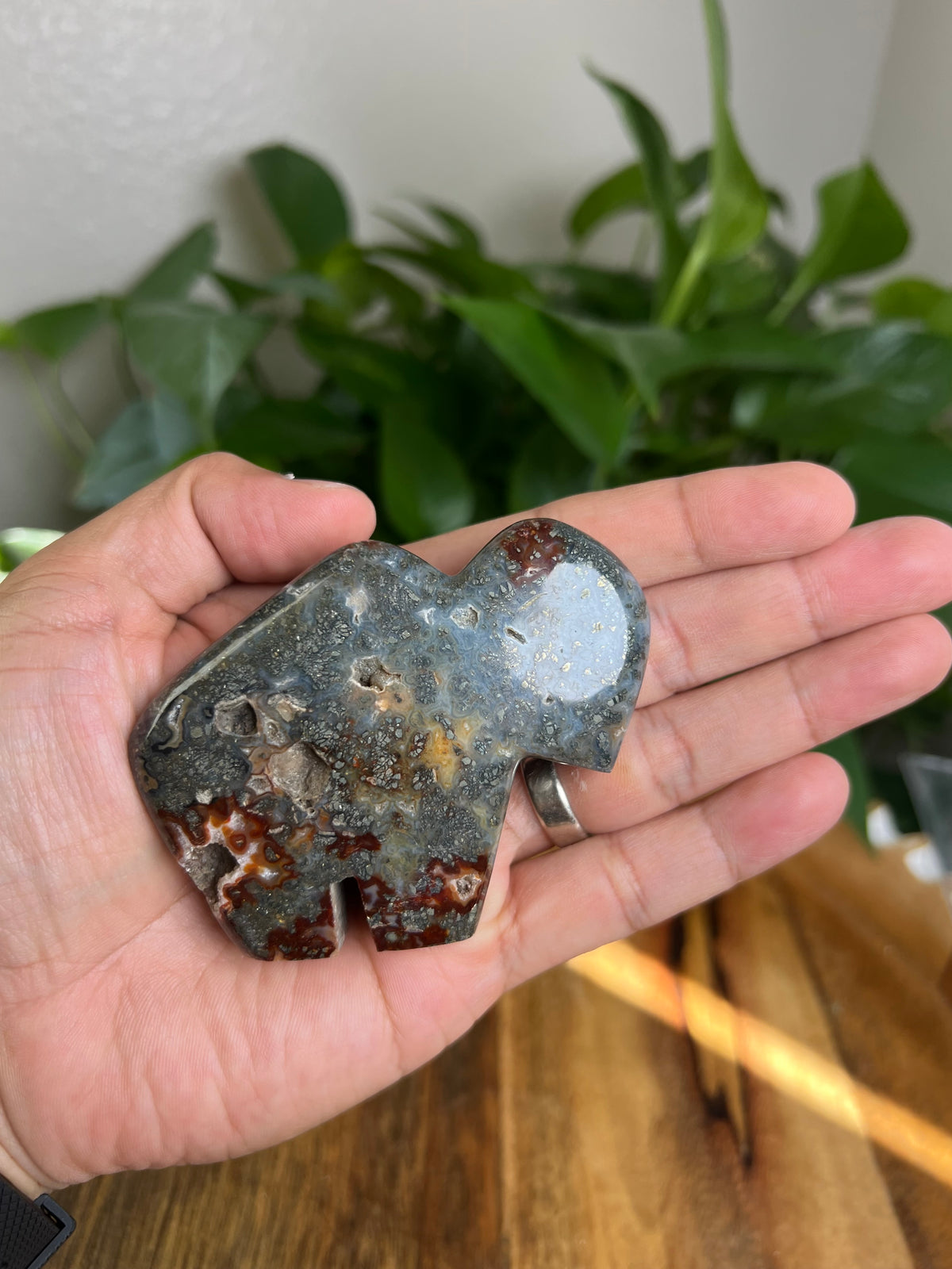 Marcasite Buffalo: CC