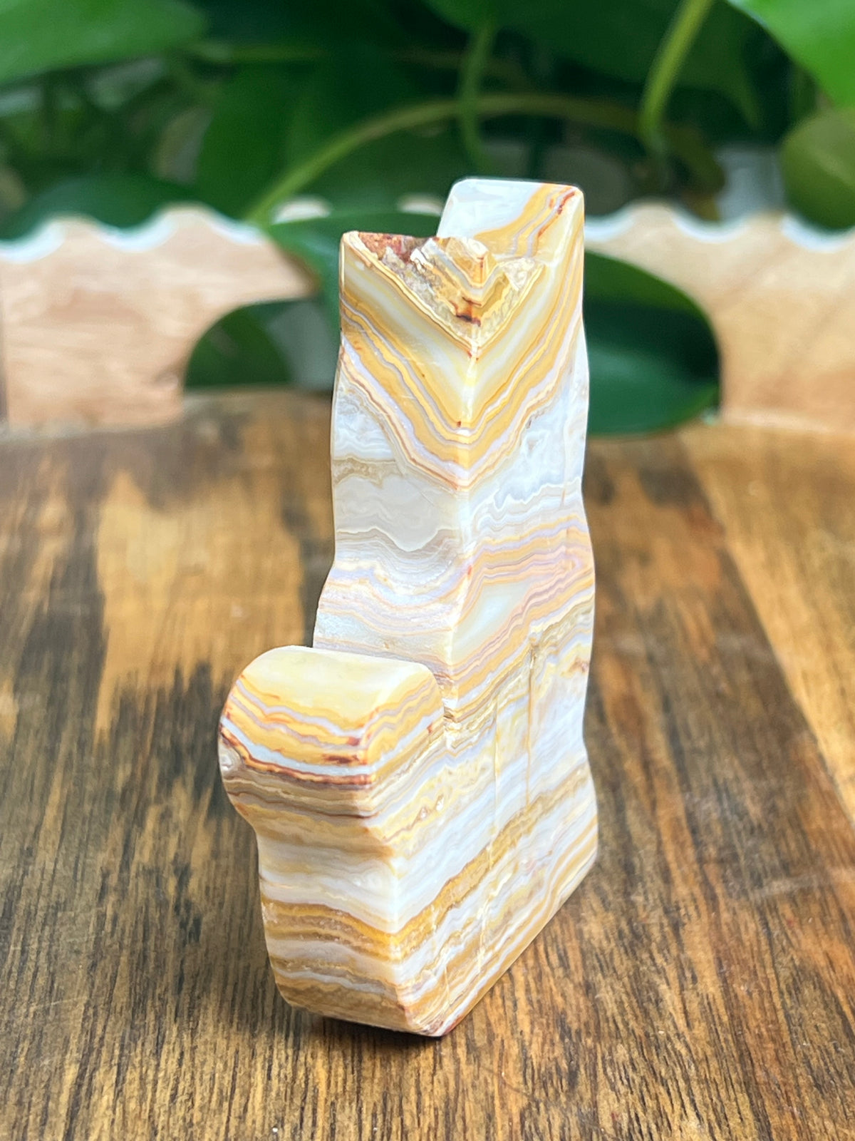 Crazy Lace Agate Cat: NG