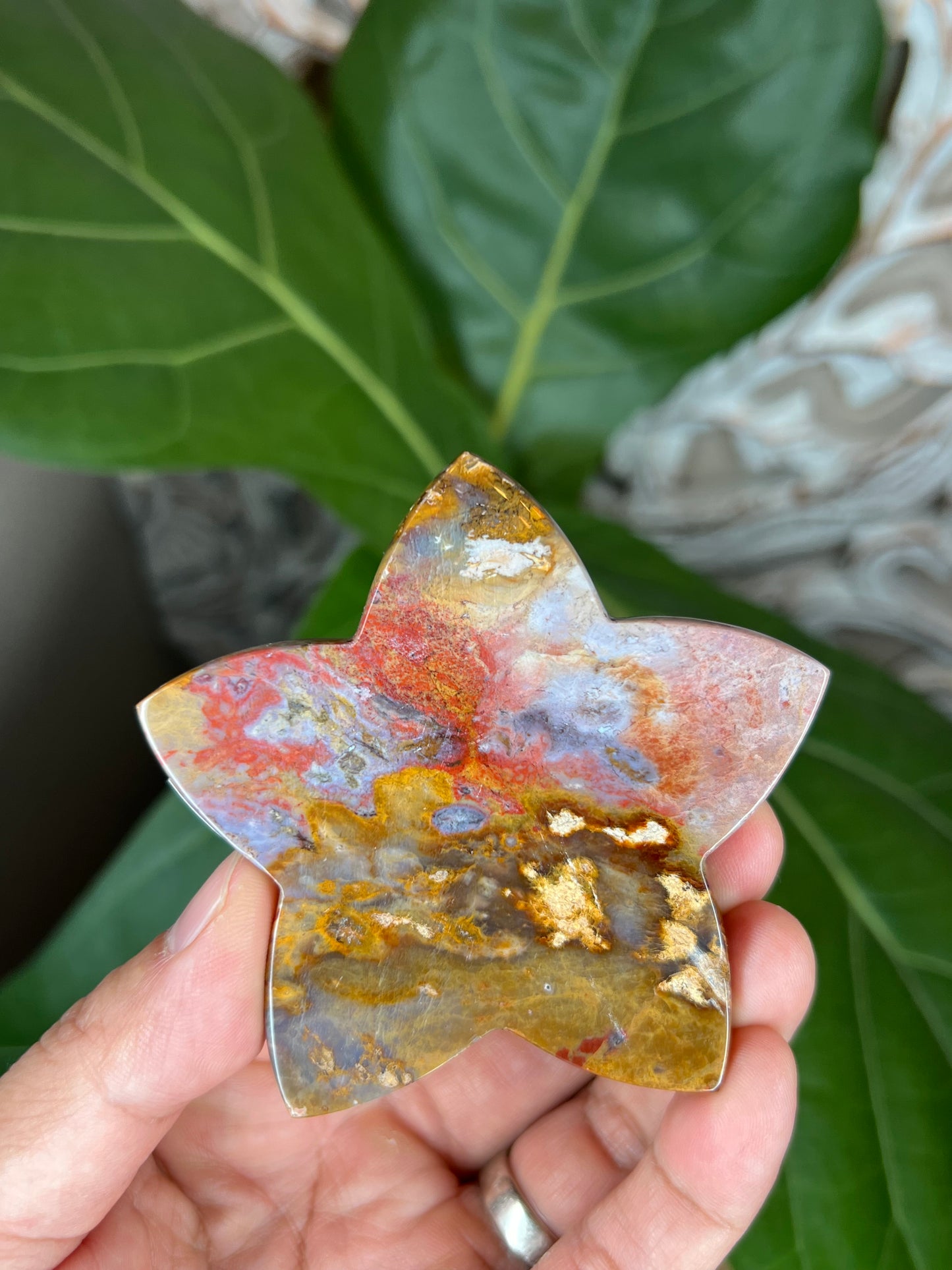 River Jasper Star