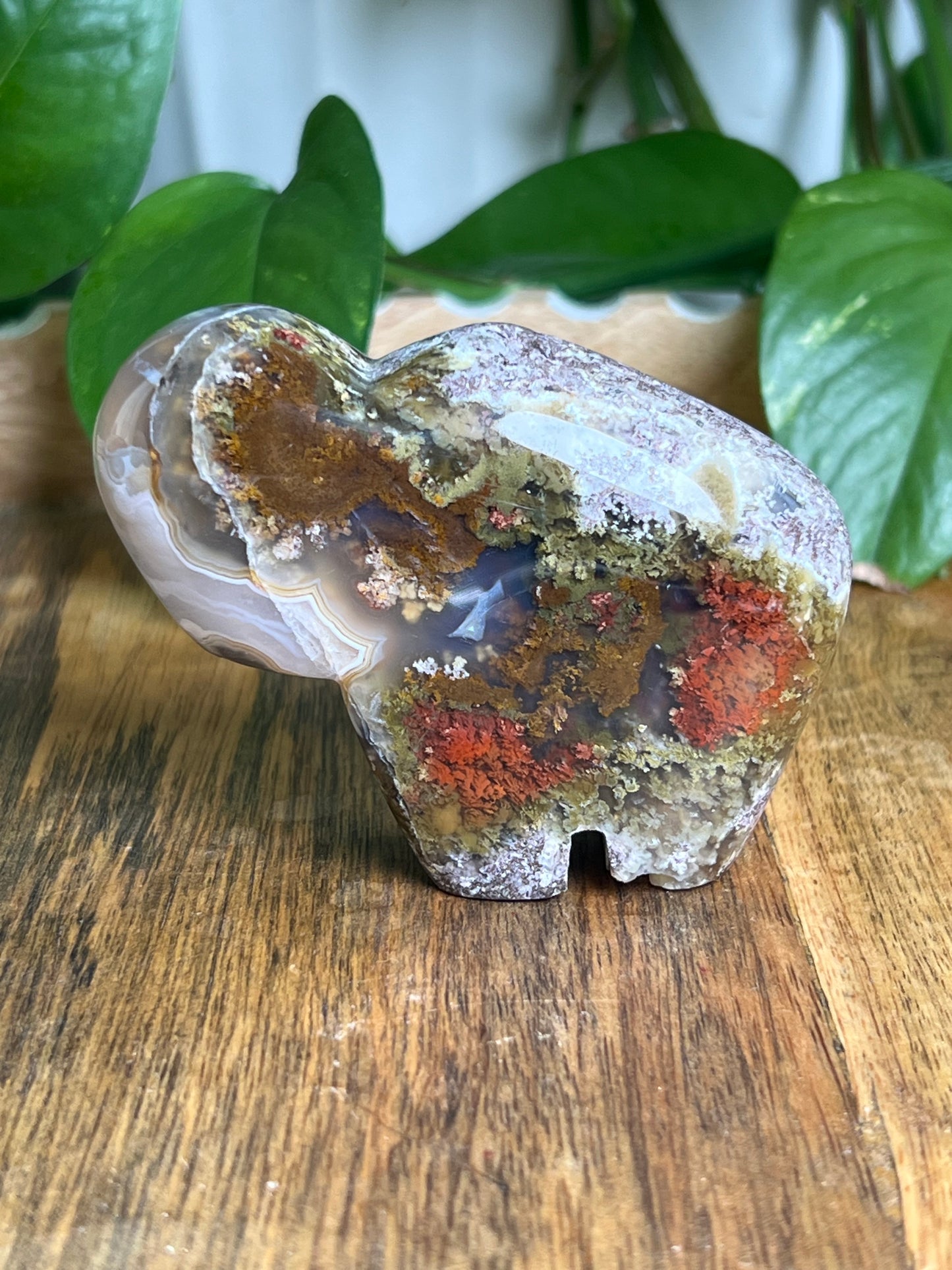 Scenic Moss Agate Buffalo ME