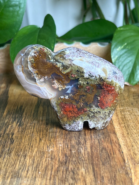 Scenic Moss Agate Buffalo ME
