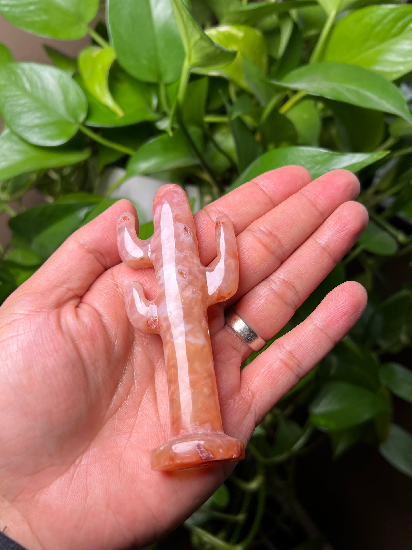 Pink Carnelian Cactus