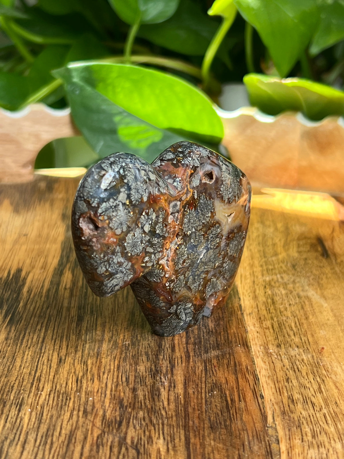 Marcasite Buffalo: CV