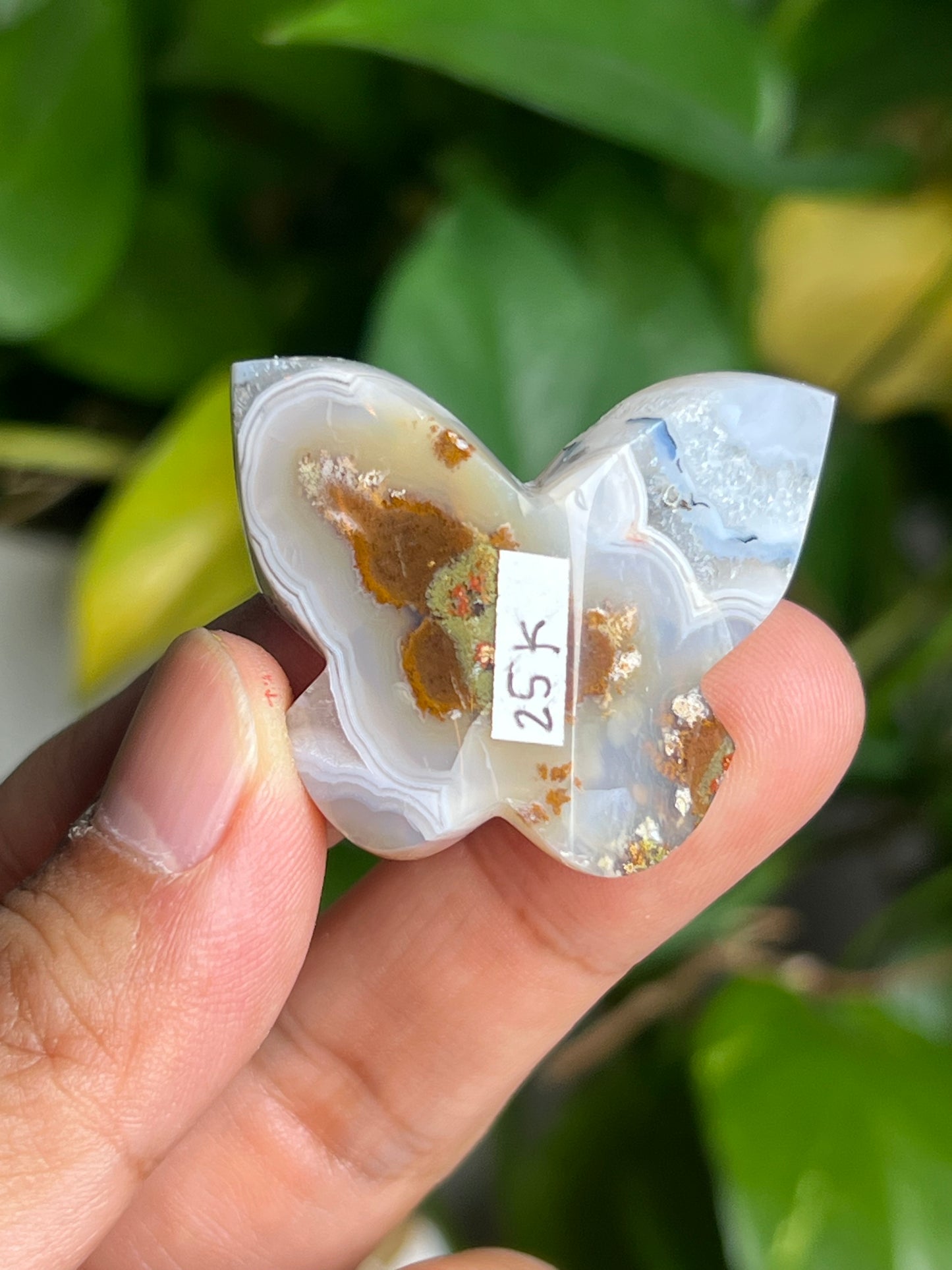 Scenic Moss Agate 3D Butterfly K