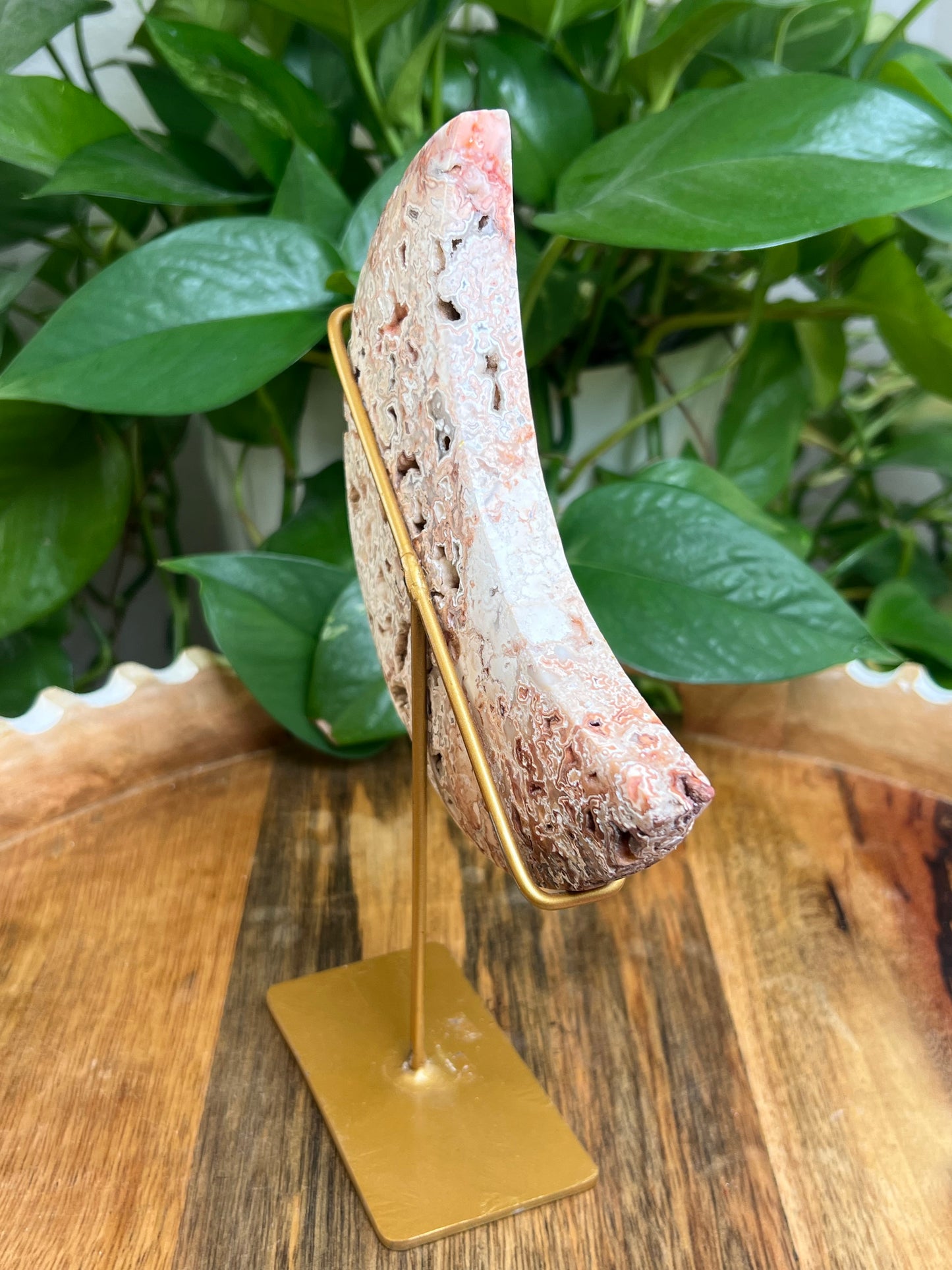 Crazy Lace Agate Moon: XT