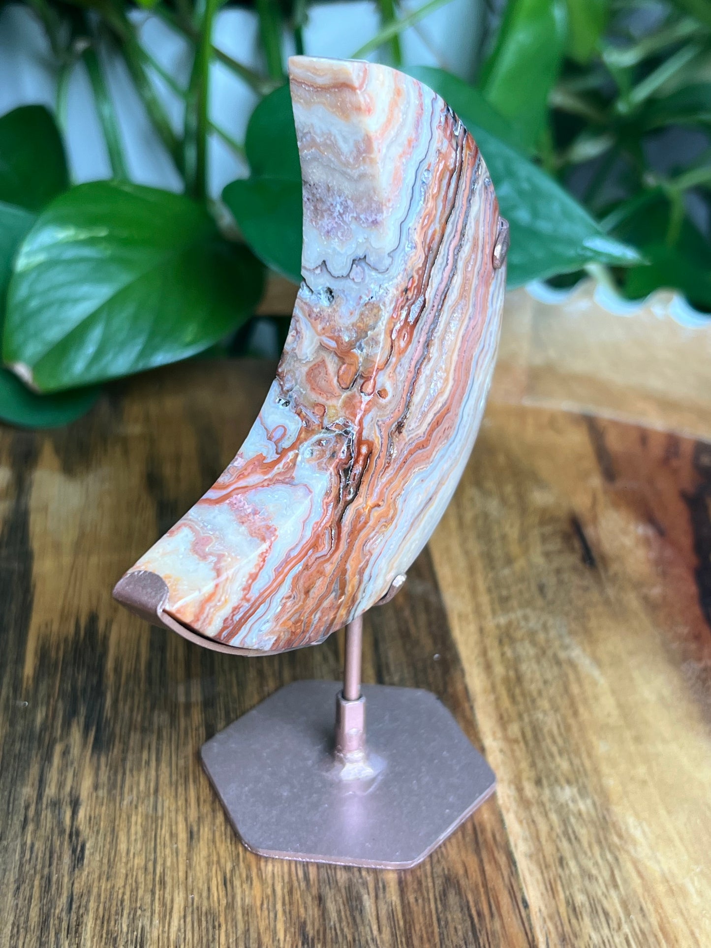 Crazy Lace Agate Moon: K