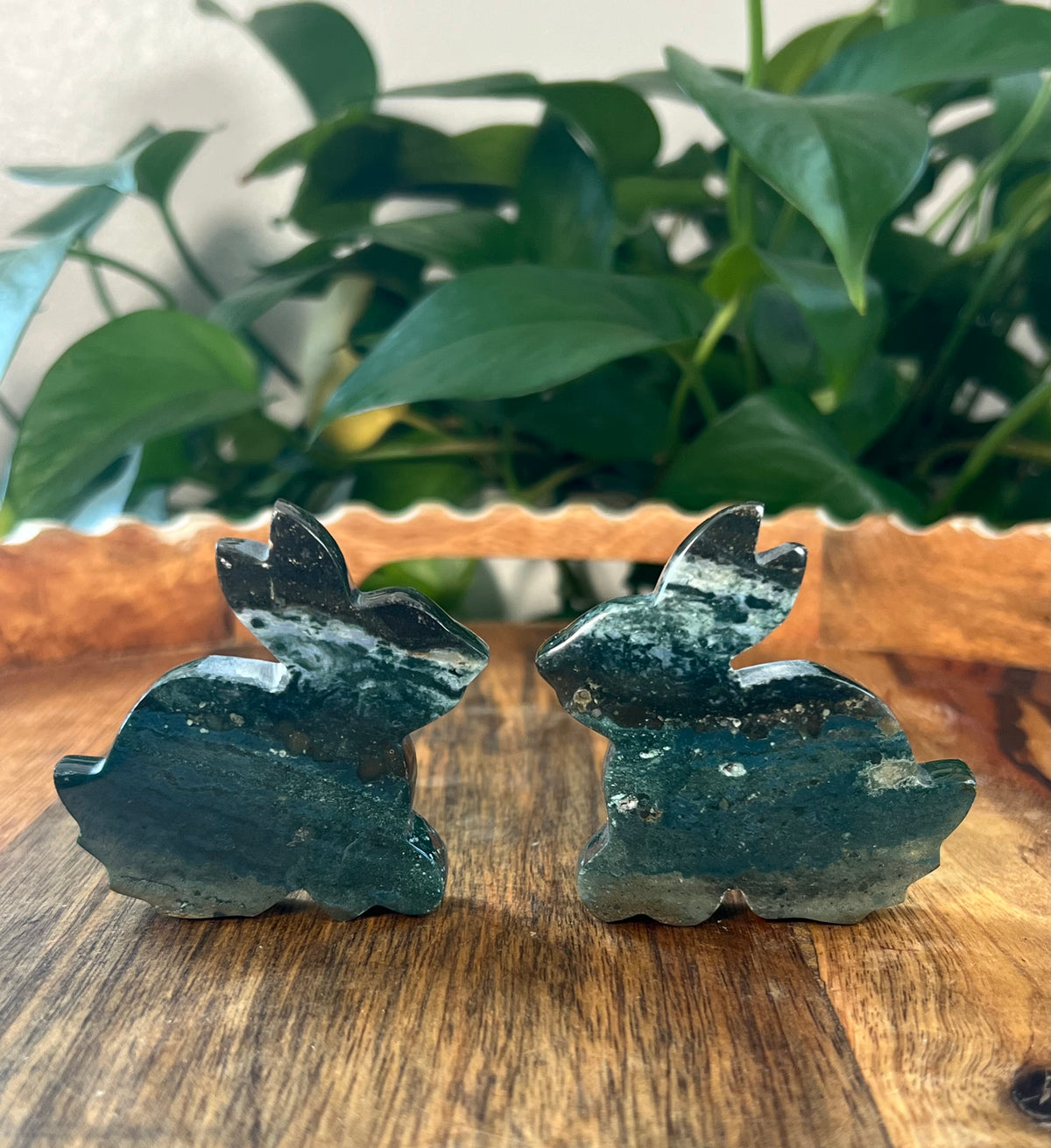 Blue Green Jasper Bunnies