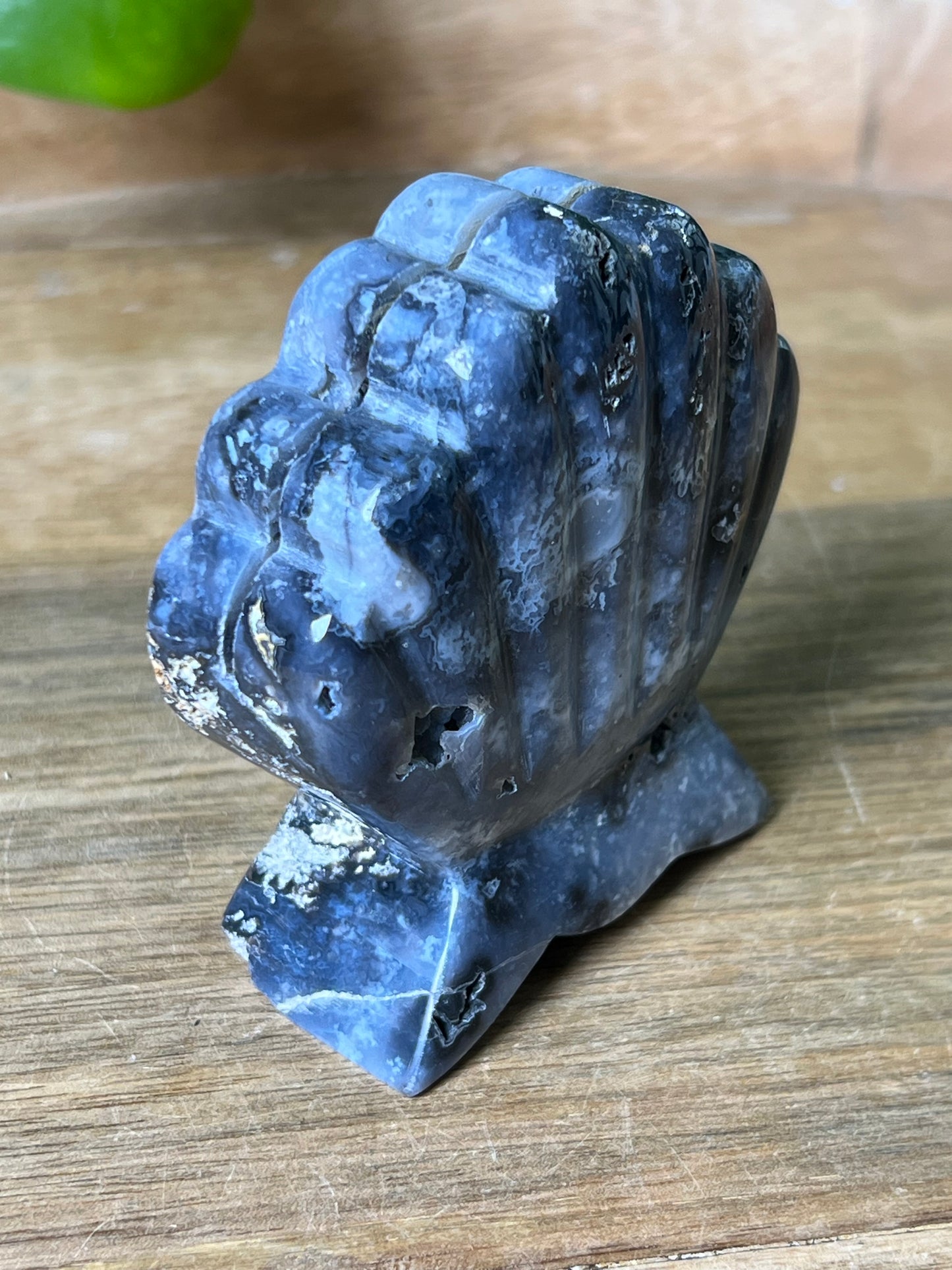 Blue Plume Agate Shell