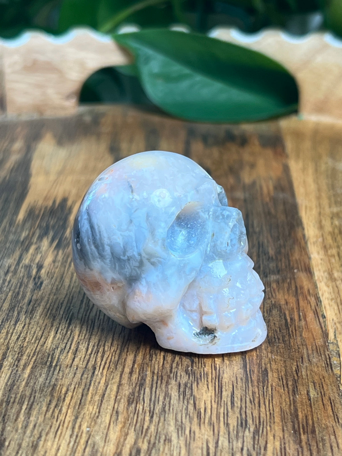 Rainbow Plume Agate Mini Skull: DL