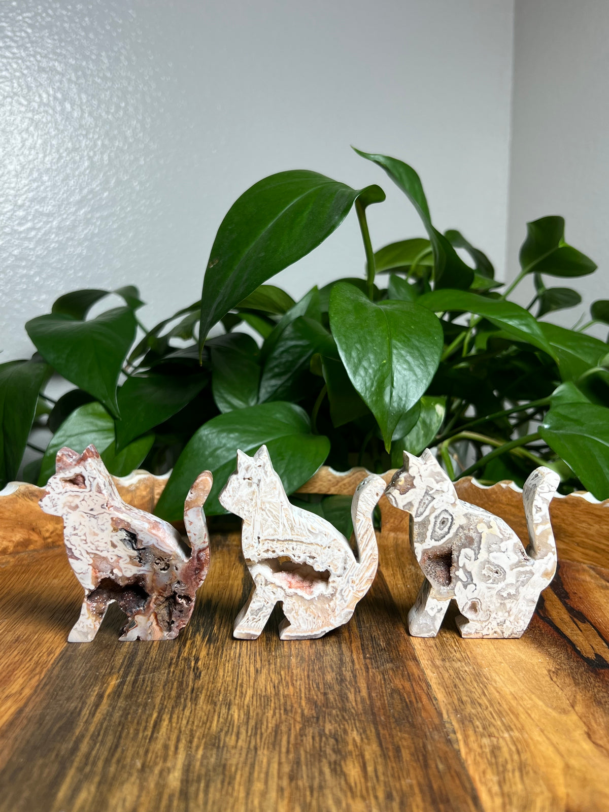 Tube Agate Cats