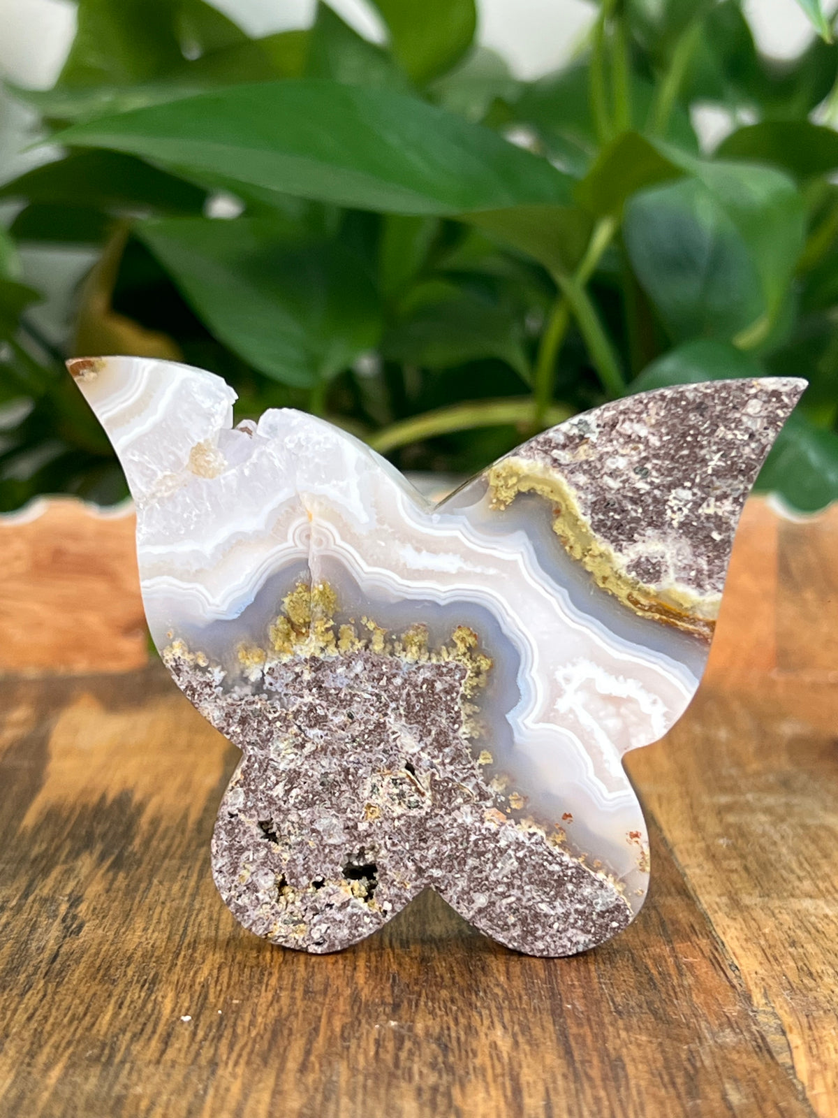 Scenic Moss Agate Butterflies
